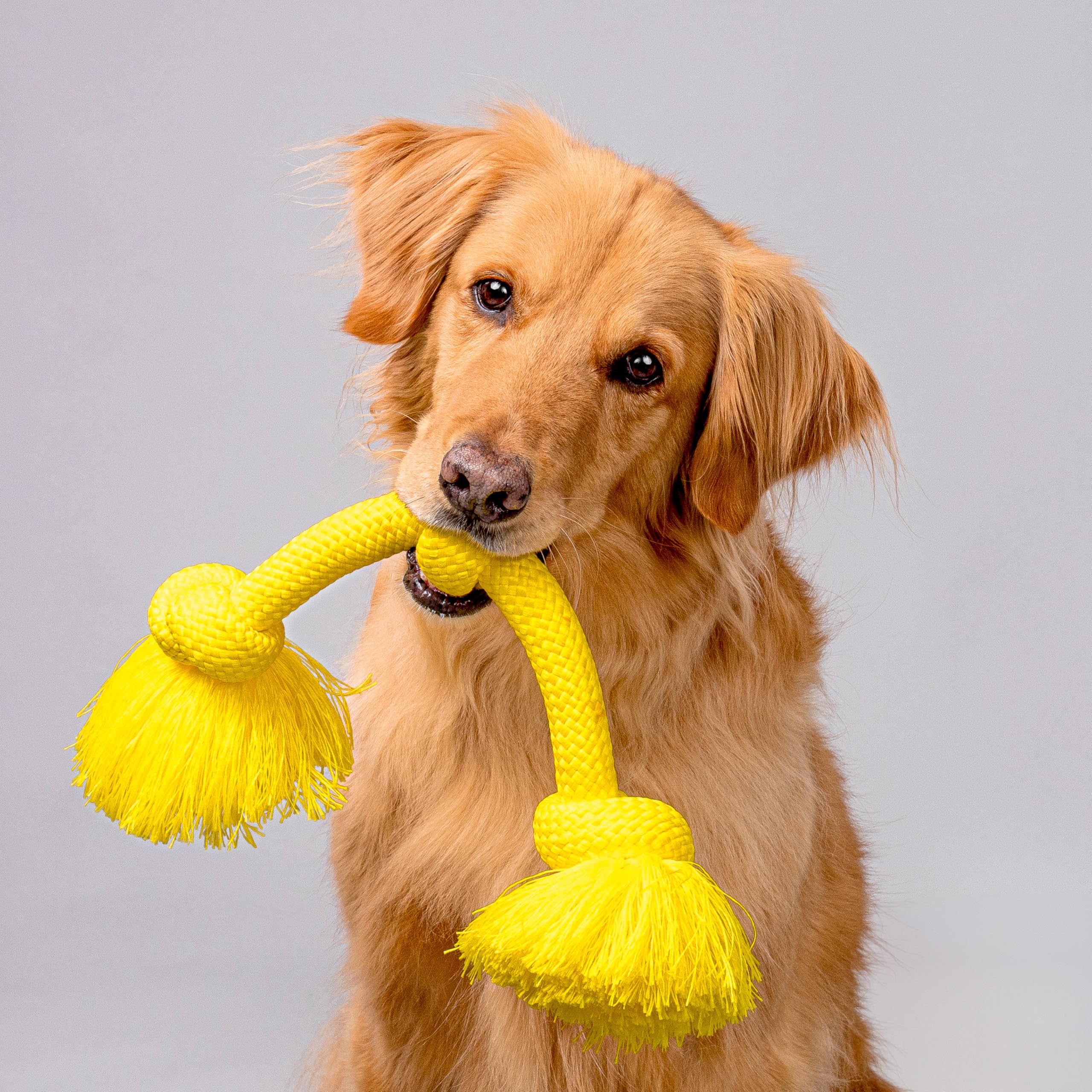 Playology Dri Tech Rope Dog Chew Toy for Large to X-Large Dogs 50lbs & up | Engaging, All-Natural Chicken Scented Yellow Dog Toy