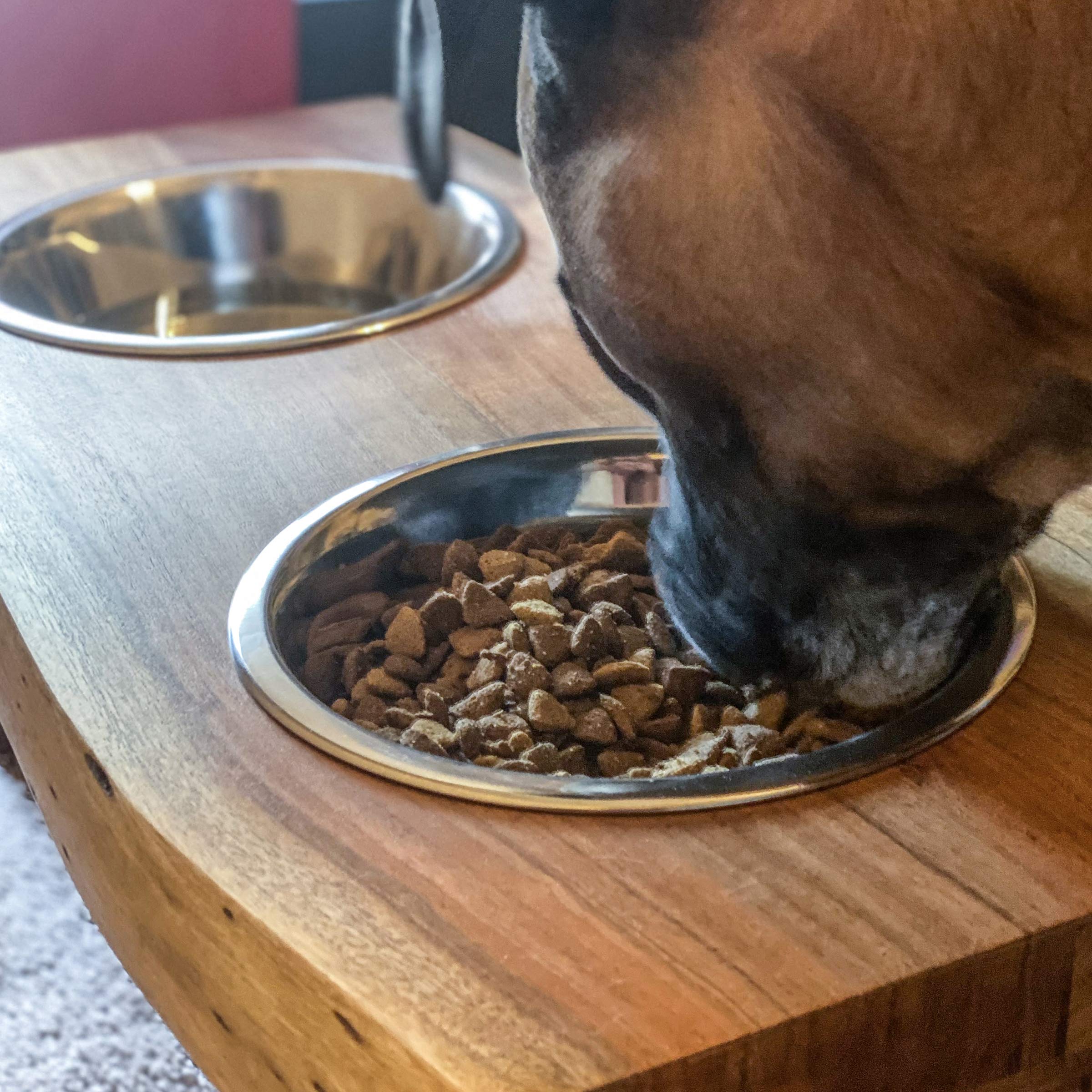 Buffalo Tools AWLDPF: Acacia Wood Live Edge Double Bowl Pet Feeder Stand, Multi