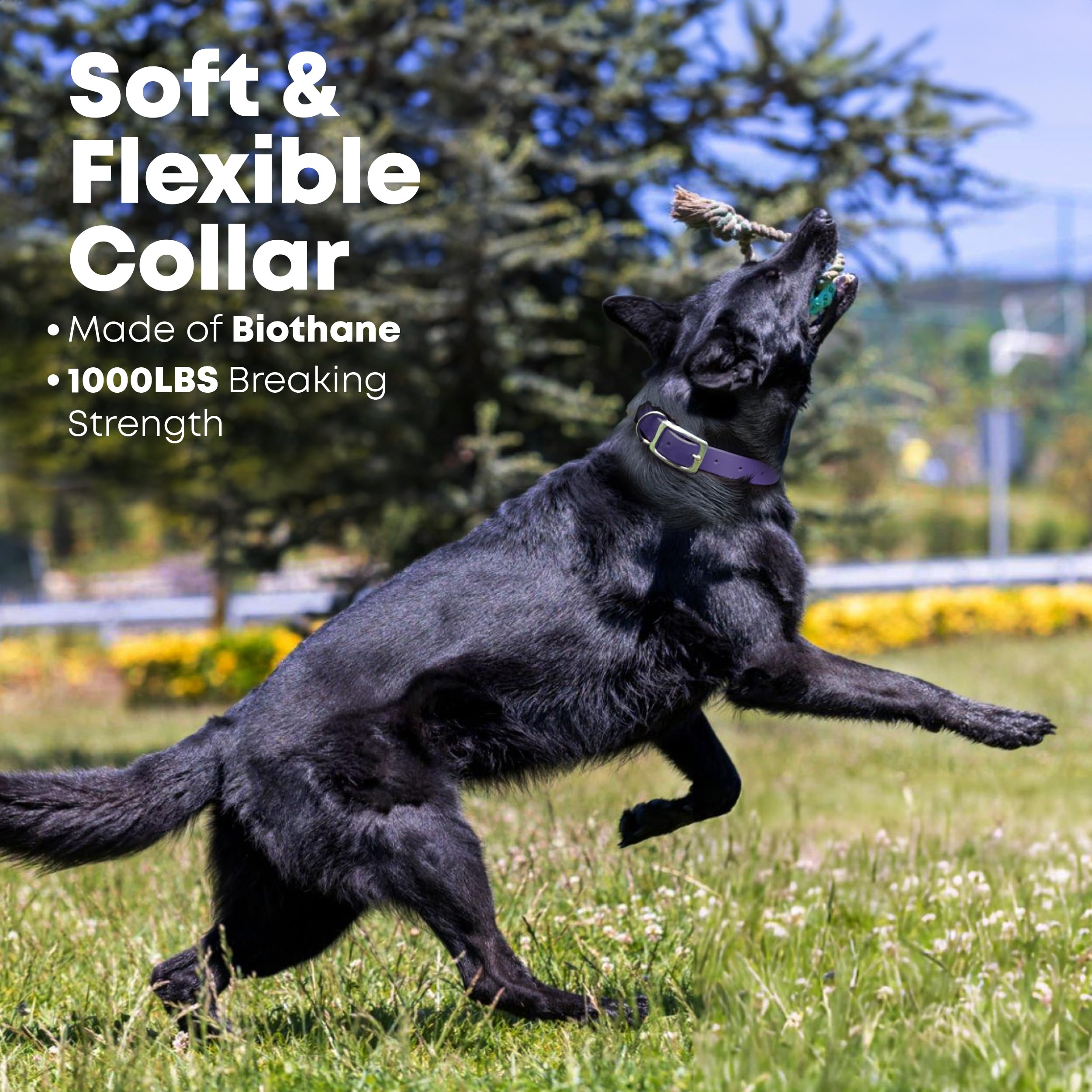 Regal Dog Products Medium Purple Waterproof Dog Collar And Leash Set - Vinyl Coated Biothane Pet Training Collar With Heavy Duty