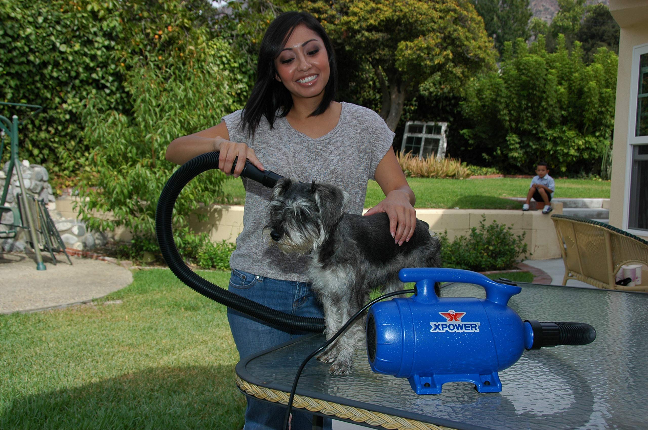 XPOWER B-24 Professional Pet Grooming Force Dryer with Powerful and Quiet Motor, Variable Speed and Extra Heat, Versatile For All Coats and Breeds -Like New