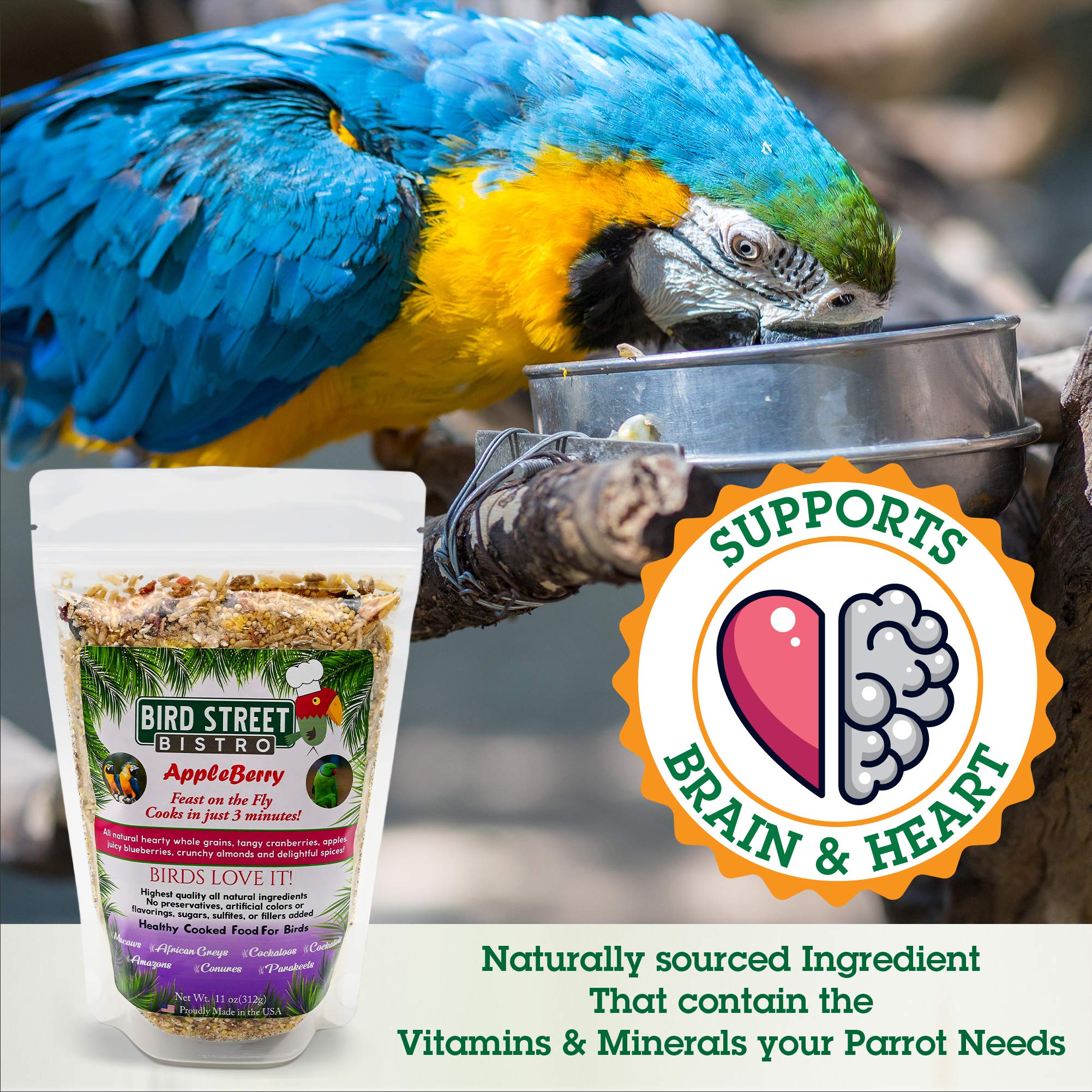 Bird Street Bistro Parrot Food - Parakeet & Cockatiel Food - Cooks in 3-15 min with Natural & Organic Grains, Legumes, Non-GMO F