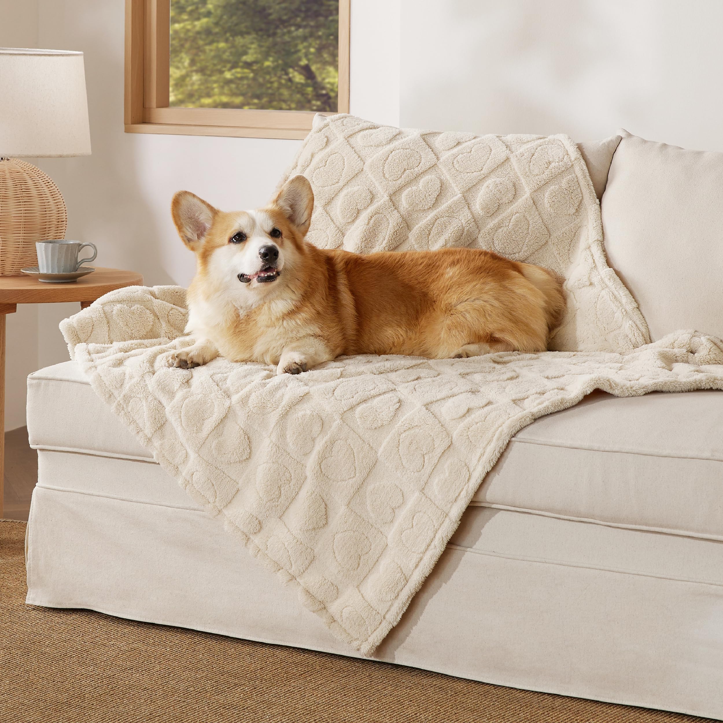 Bedsure Dog Blankets For Large Dogs Washable - Fluffy Fuzzy Cat Puppy Blanket With Premium 300Gsm Coral Fleece Soft For Pet Kitt