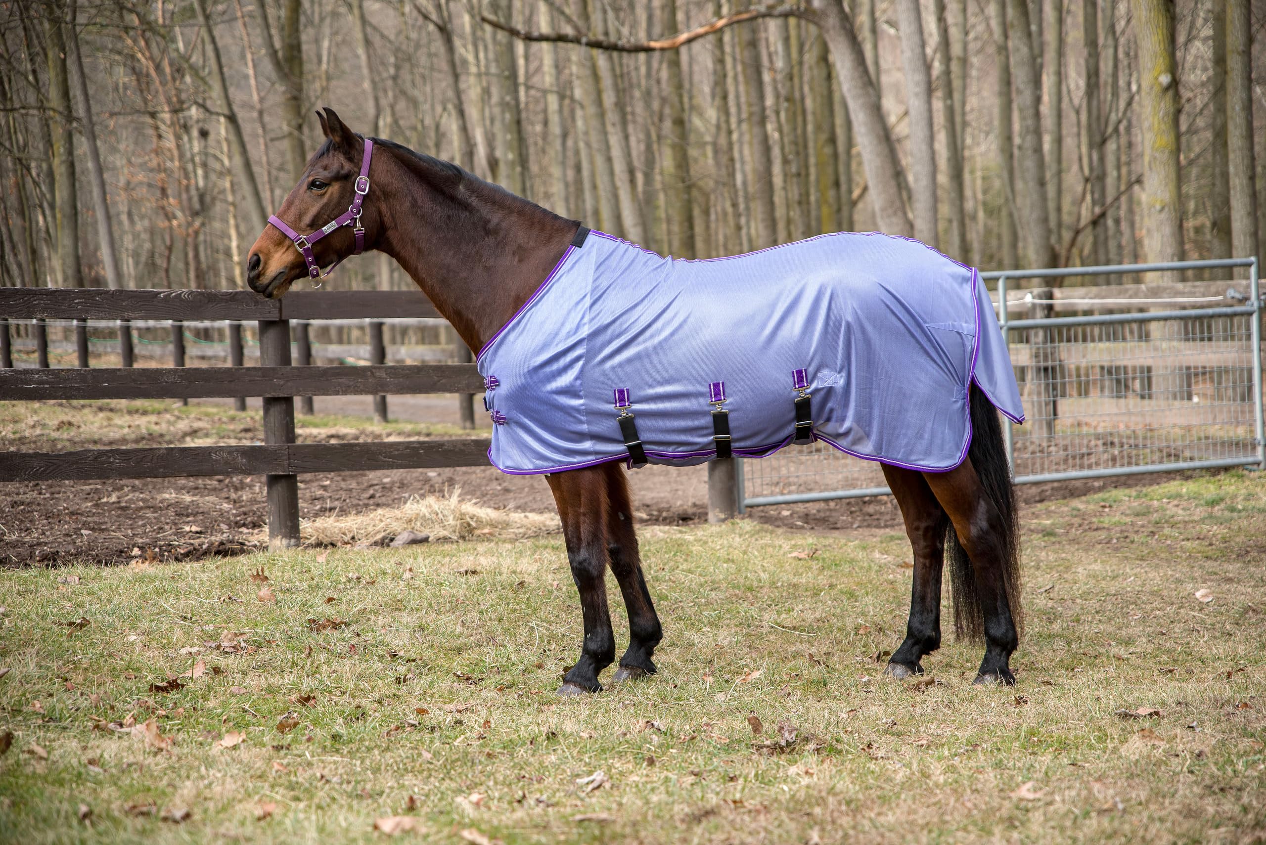 Tuffrider Comfy Plus Standard Neck Fly Sheet- Purple With Deep Purple Trim- 72
