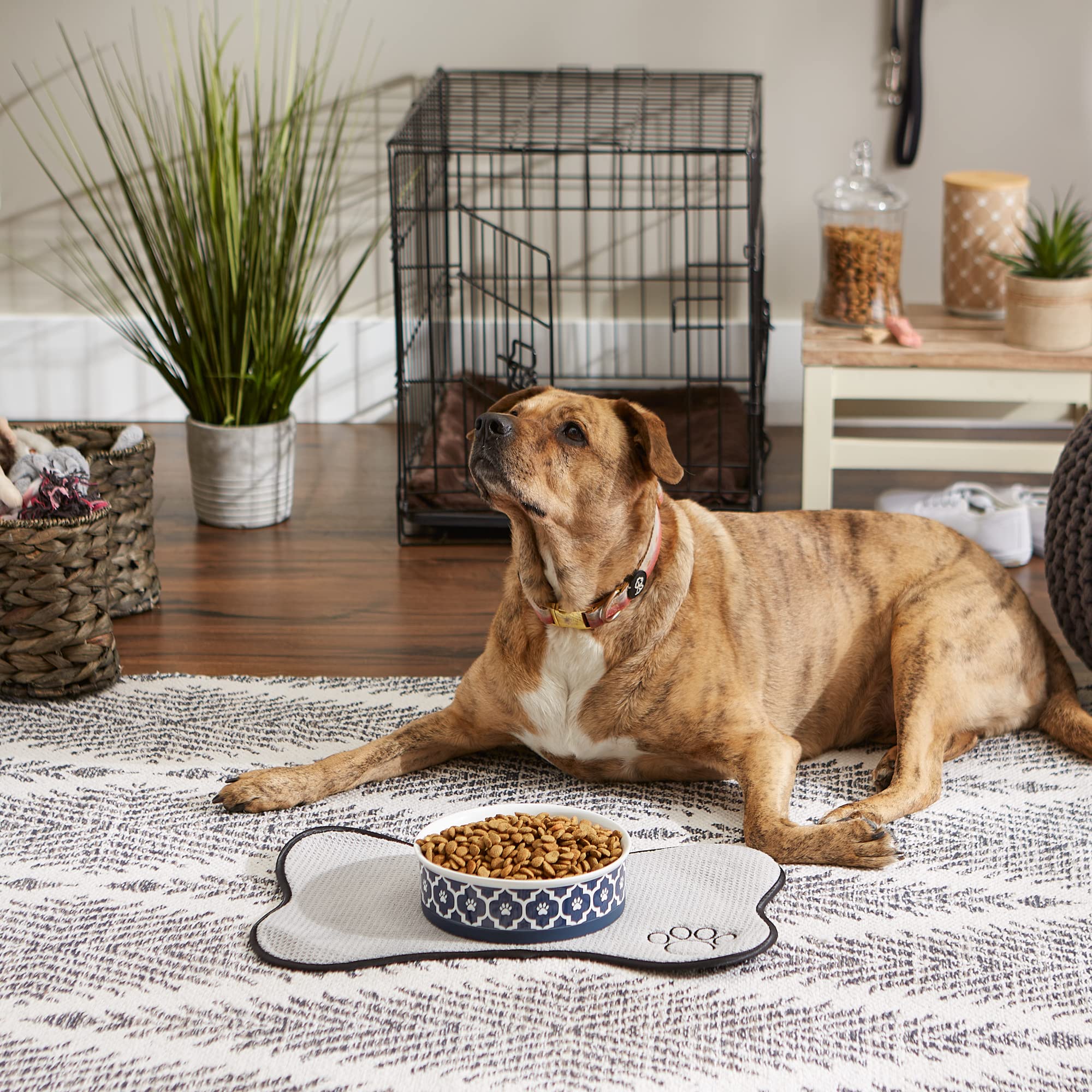 Bone Dry Lattice Collection Pet Bowl & Canister, Single Dish, Large 7.5x2.4, Nautical Blue