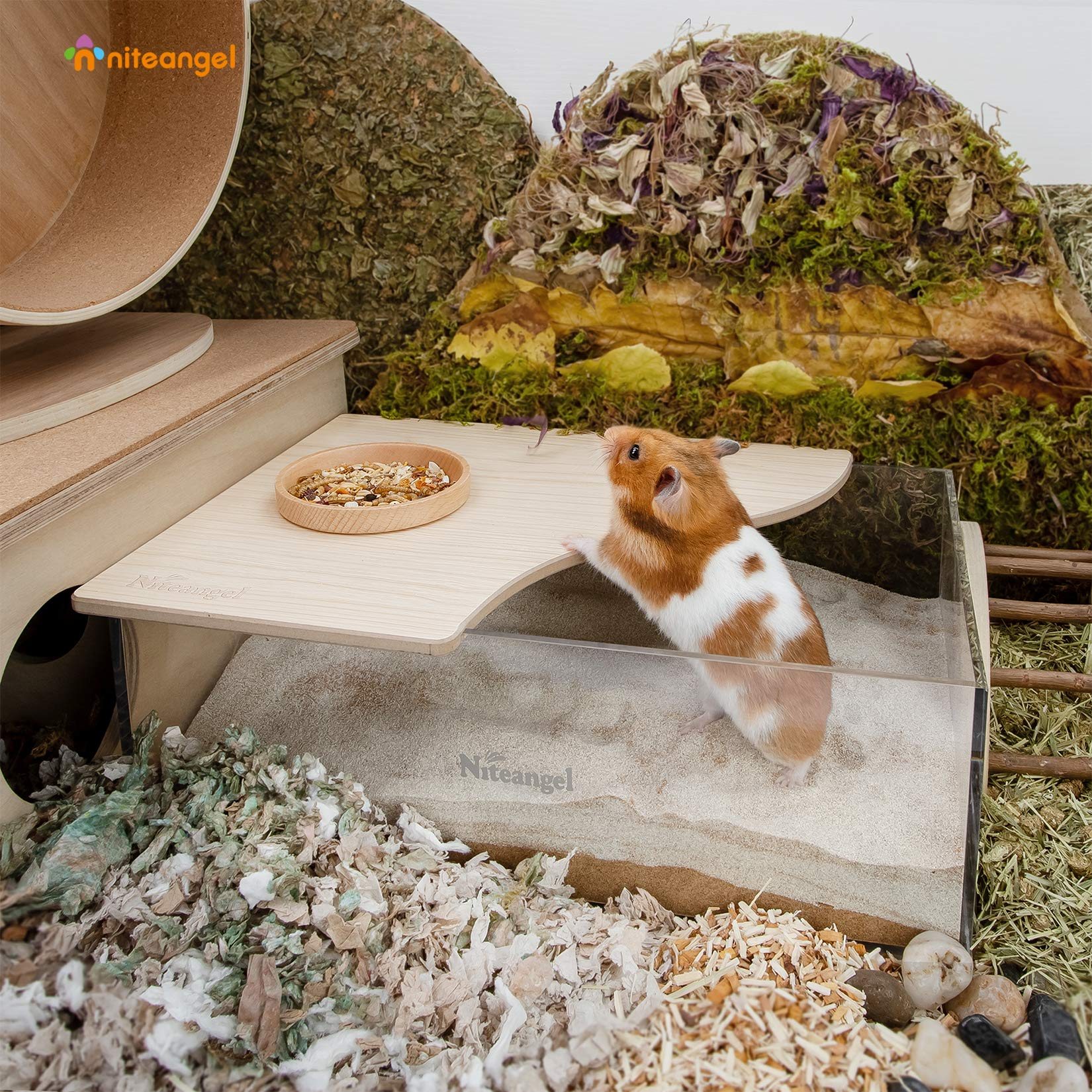 Niteangel Animal Sand-Bath Box: - Acrylic Critter 'S Sand Bath Shower Room & Digging Sand Container For Hamsters Mice Lemming Ge