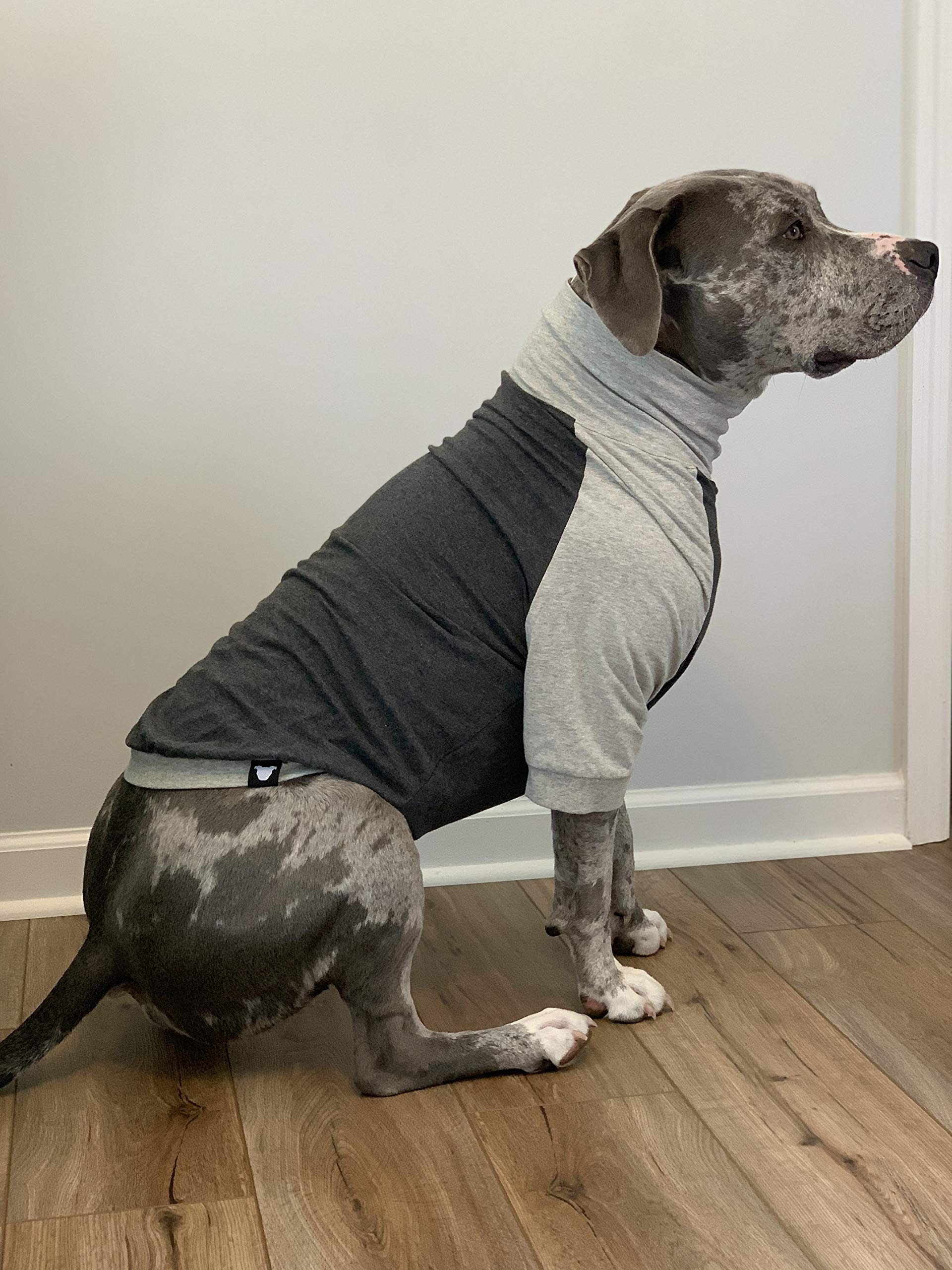 Tooth & Honey Large Dog Pullover Shirt – Breathable Cotton & Spandex Dog Shirt With Full Underbelly Coverage – Dark & Light Grey Large Dog Shirt For Allergy & Summer Protection (Large)