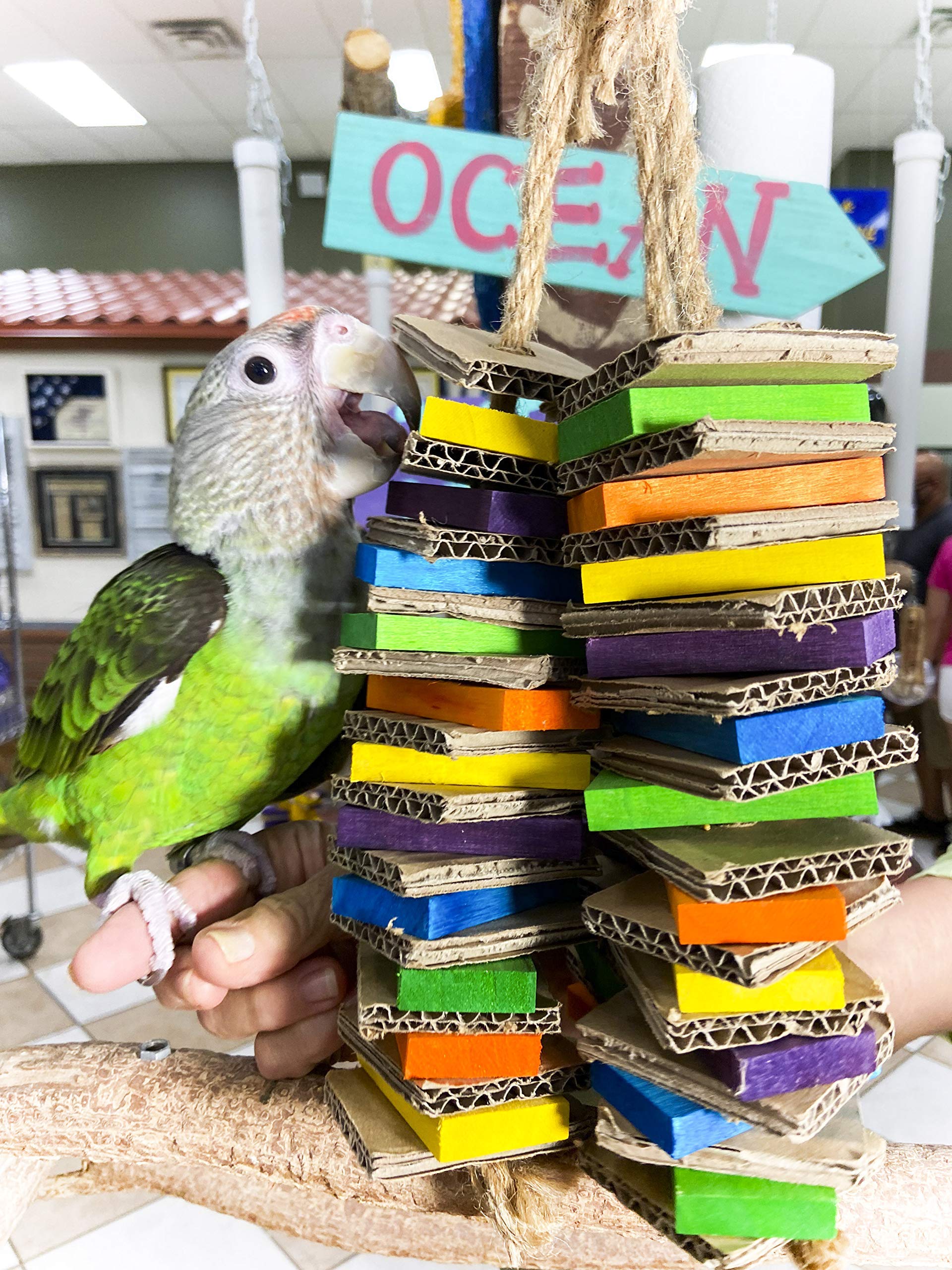 Birds Love Chew-Tastic Triple Tower Bird Cage Toy Shredded | Small Bird Toy For Green Cheek Conures Sun Conures Caiques Senegals Quakers And Similar Small Sized Parrots