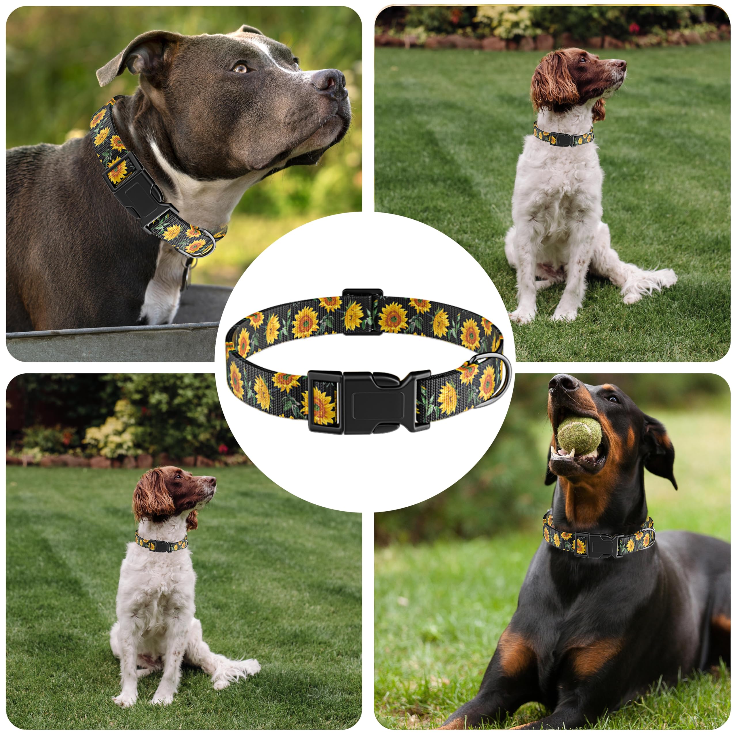 Seyezo Dog Collar For Boys Girls, Sunflower Puppy Collar For Small Medium Large Dogs, Adjustable Soft Floral Pet Collar With Saf