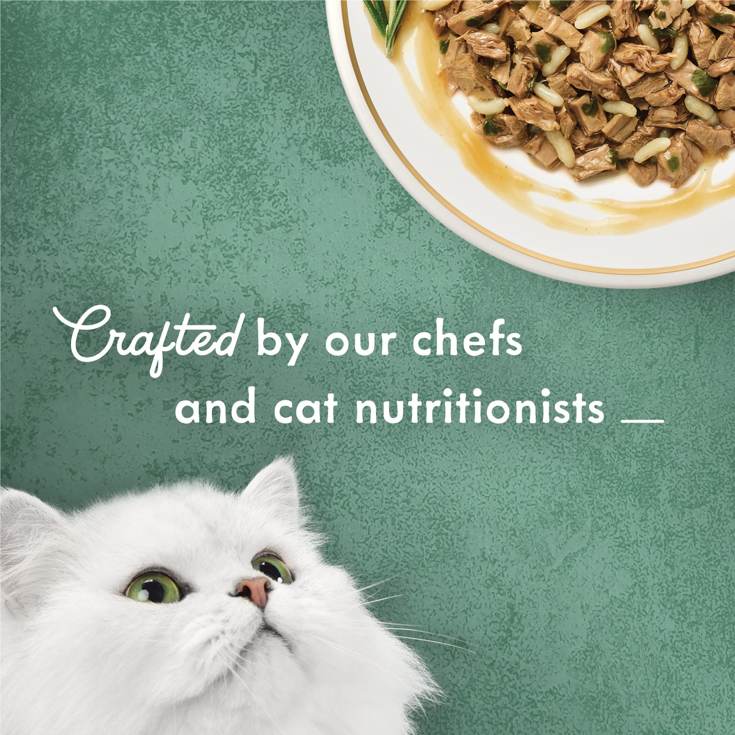 Purina Fancy Feast Medleys Tender Turkey Tuscany with Long Grain Rice and Spinach in a Savory Sauce - 3 oz. Can - (Pack of 24) 3