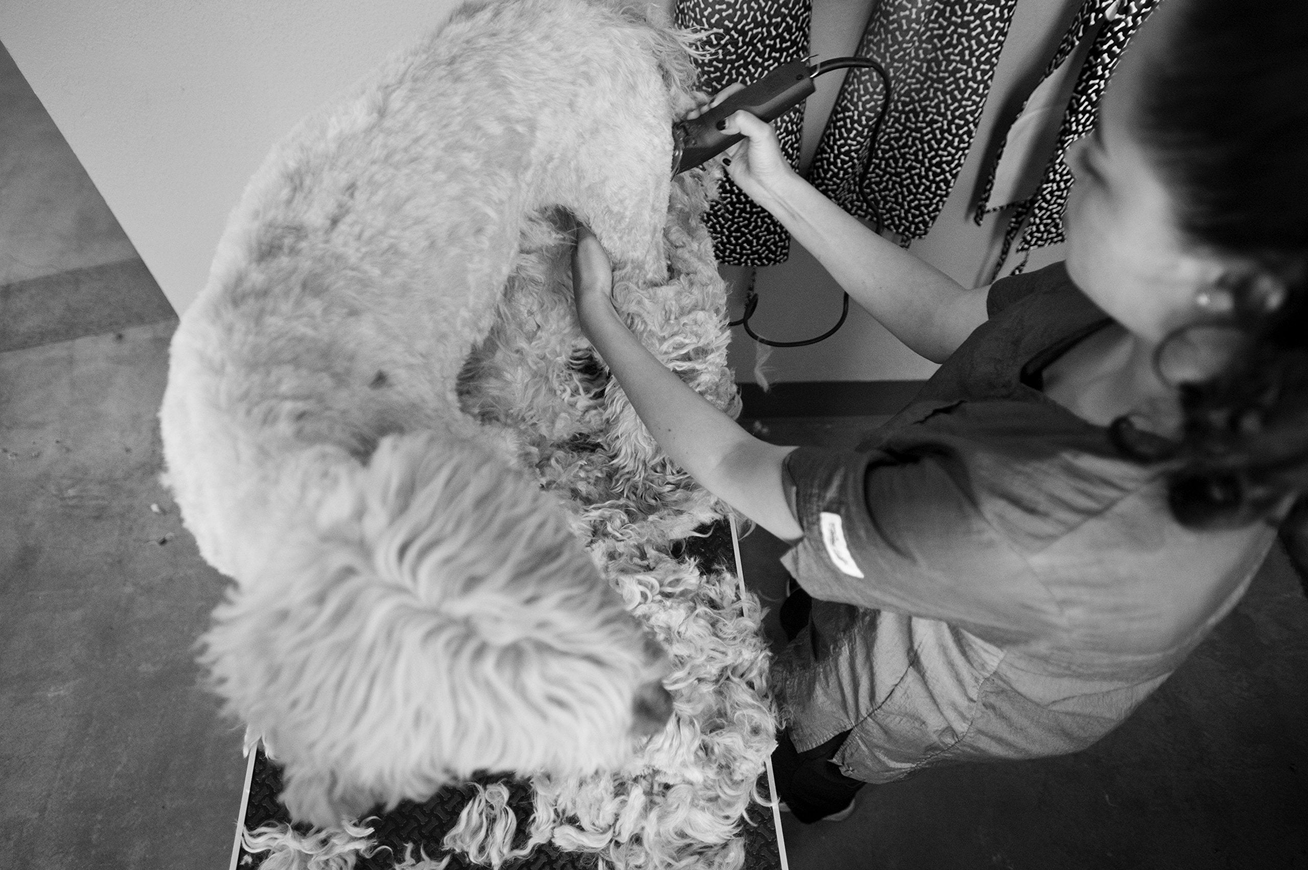 Andis Ultraedge Super 2-Speed Detachable Blade Clipper, Professional Animal/Dog Grooming, Agc2 (23280)