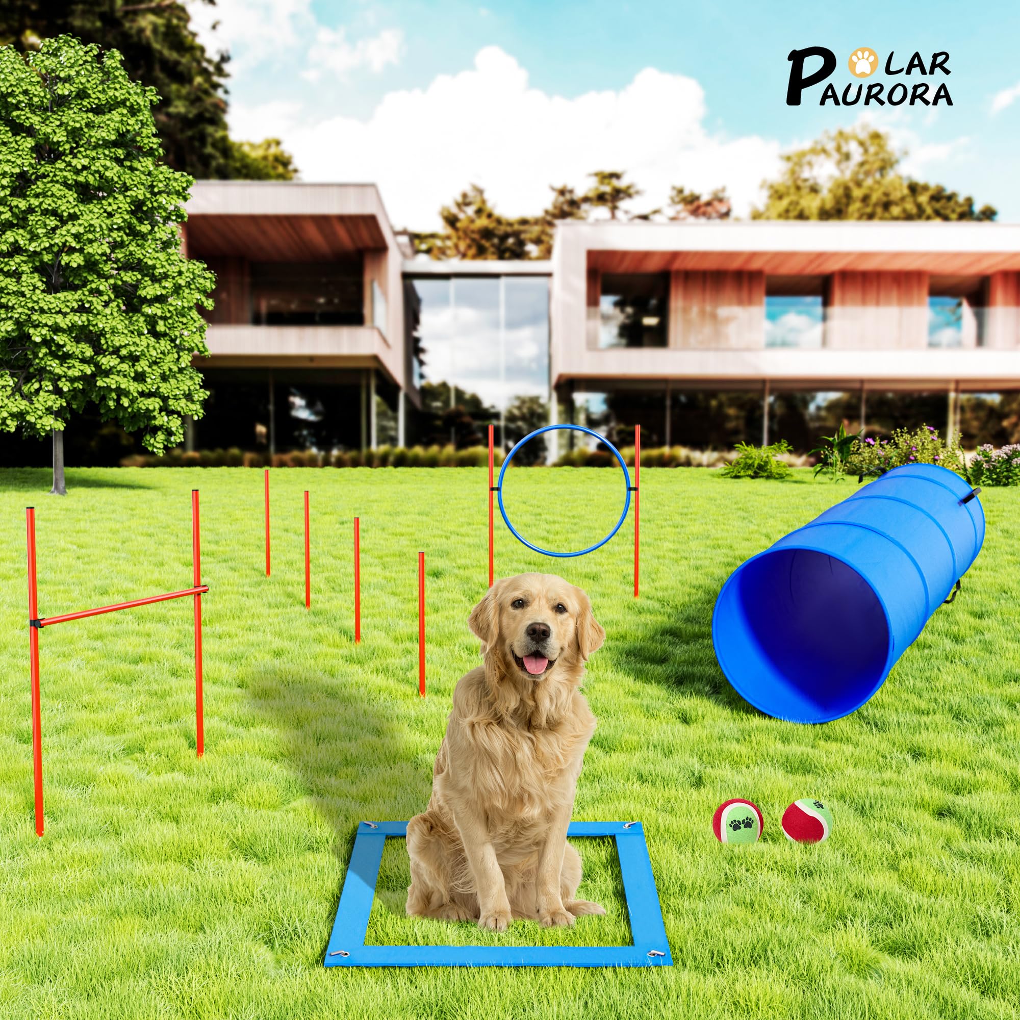 Polar Aurora Dog Agility Equipment, Dog Obstacle Courses Backyard - Pet Outdoor Games W/Adjustable High Jump, Agility Weave Pole