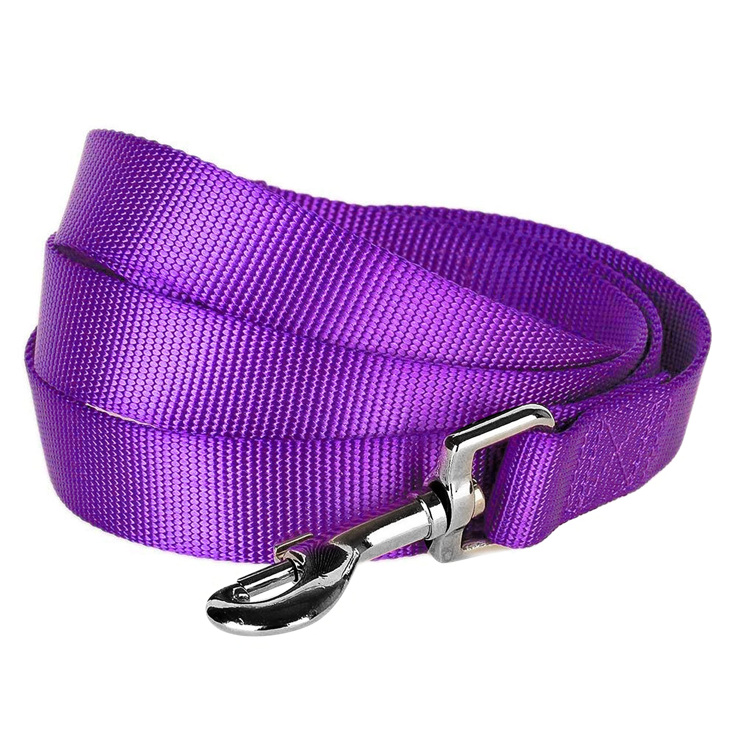 Blueberry Pet Essentials 19 Colors Durable Classic Dog Leash 4 Ft X 1'', Dark Orchid, Large, Basic Nylon Leashes For Dogs