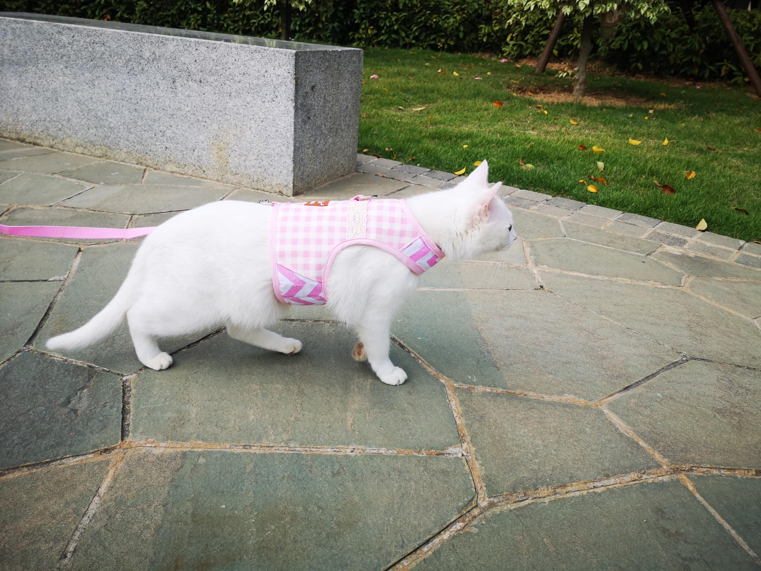Yizhi Miaow Cat Harness and Leash for Walking Escape Proof, Adjustable Cat Vest Harness, Padded Stylish Cat Walking Jackets, Pin