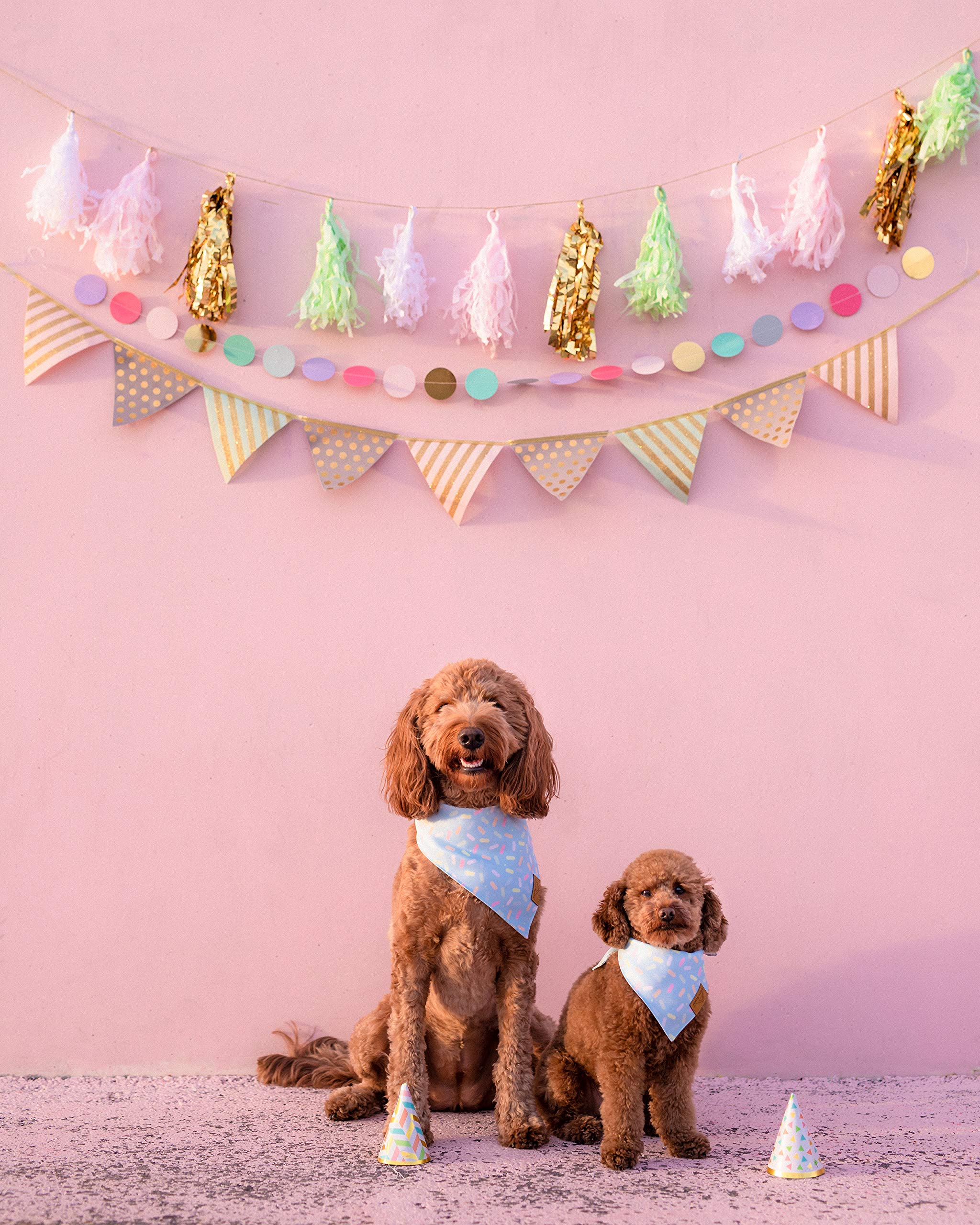 Remy+Roo Dog Bandanas - 2 Pack | Birthday Set | Premium Durable Fabric | Patented Shape | Adjustable Fit | Multiple Sizes Offered (Large)