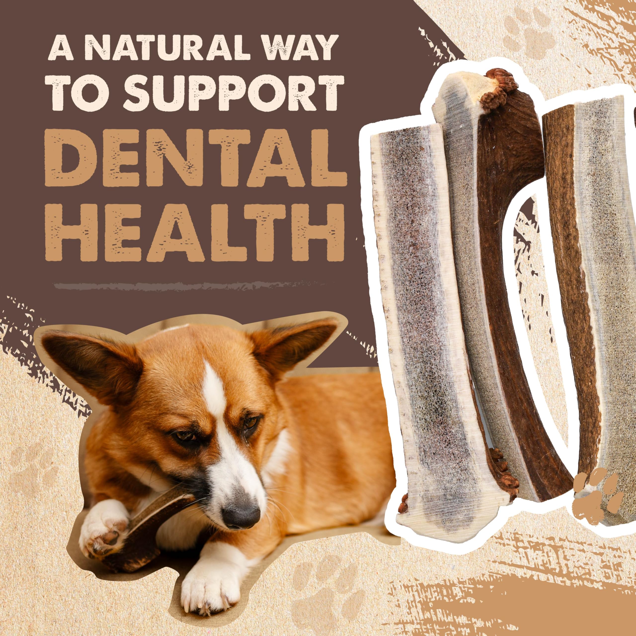 Mighty Paw Naturals Split Elk Antler For Dogs | Usa Sourced, Long Lasting Chew For Aggressive Chewers - Low Odor, Natural Altern