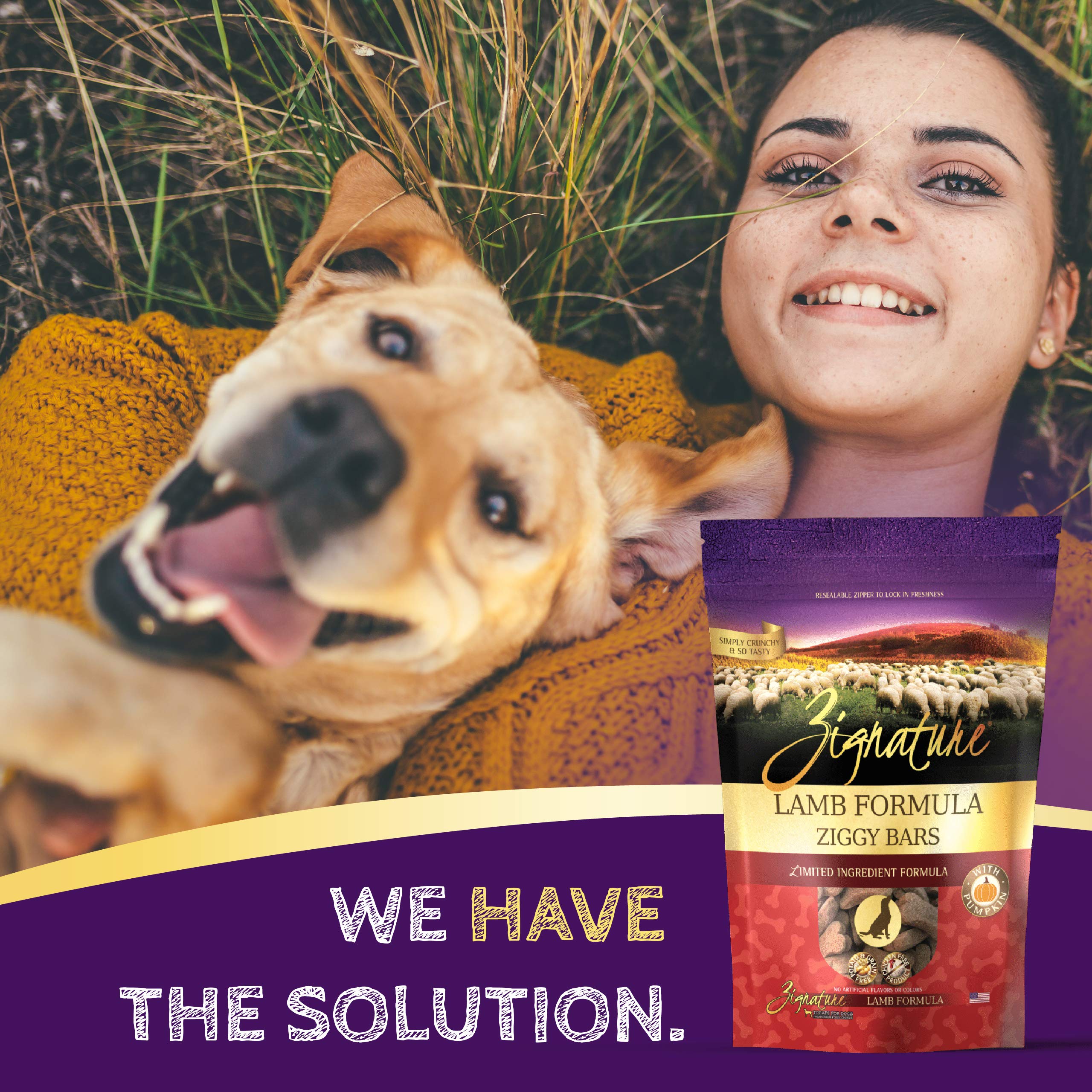 Zignature Lamb Limited Ingredient Formula Biscuit Dog Treats 12oz