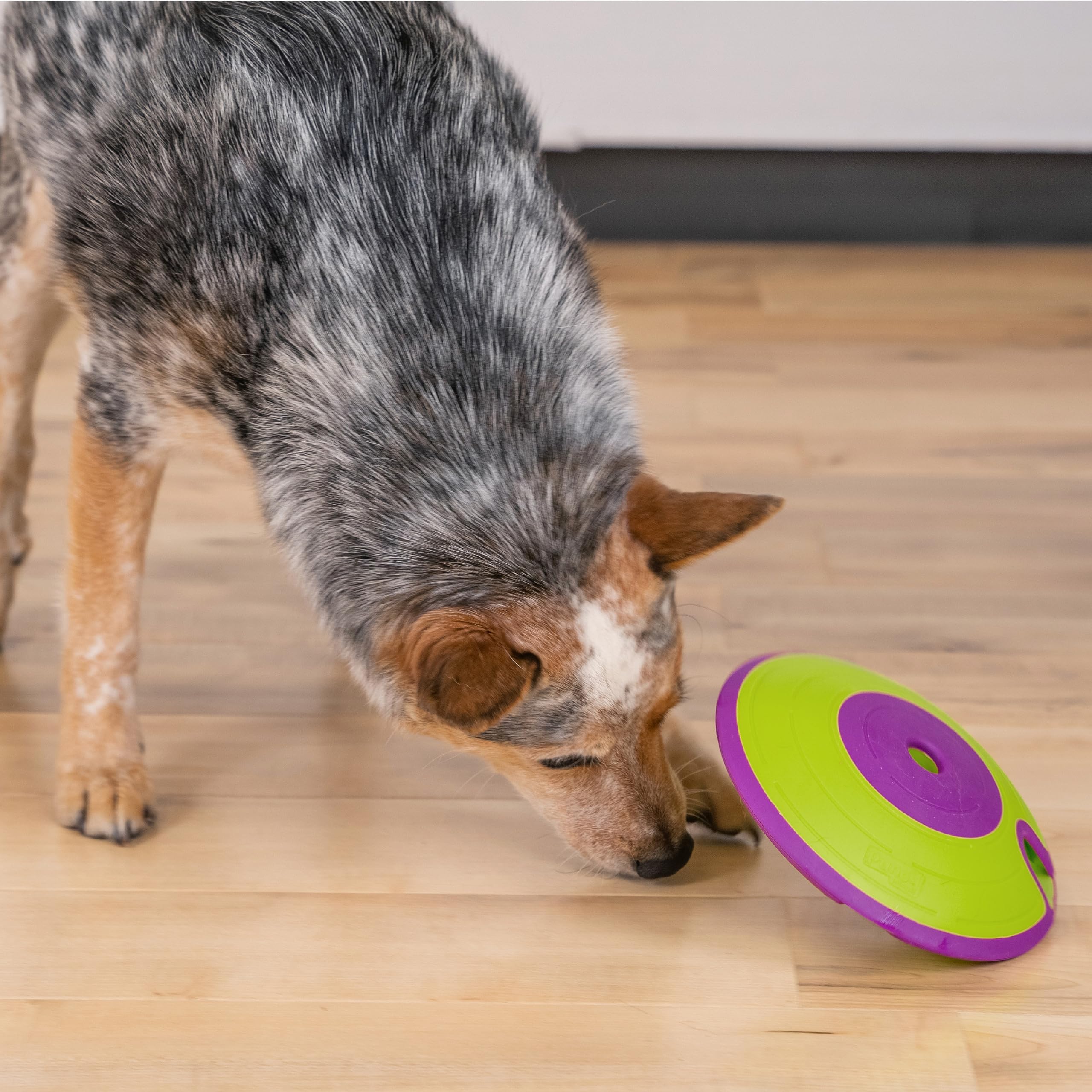 Outward Hound by Nina Ottosson Dog Treat Maze Dog Puzzle Enrichment Toy, Level 2 Intermediate, Green