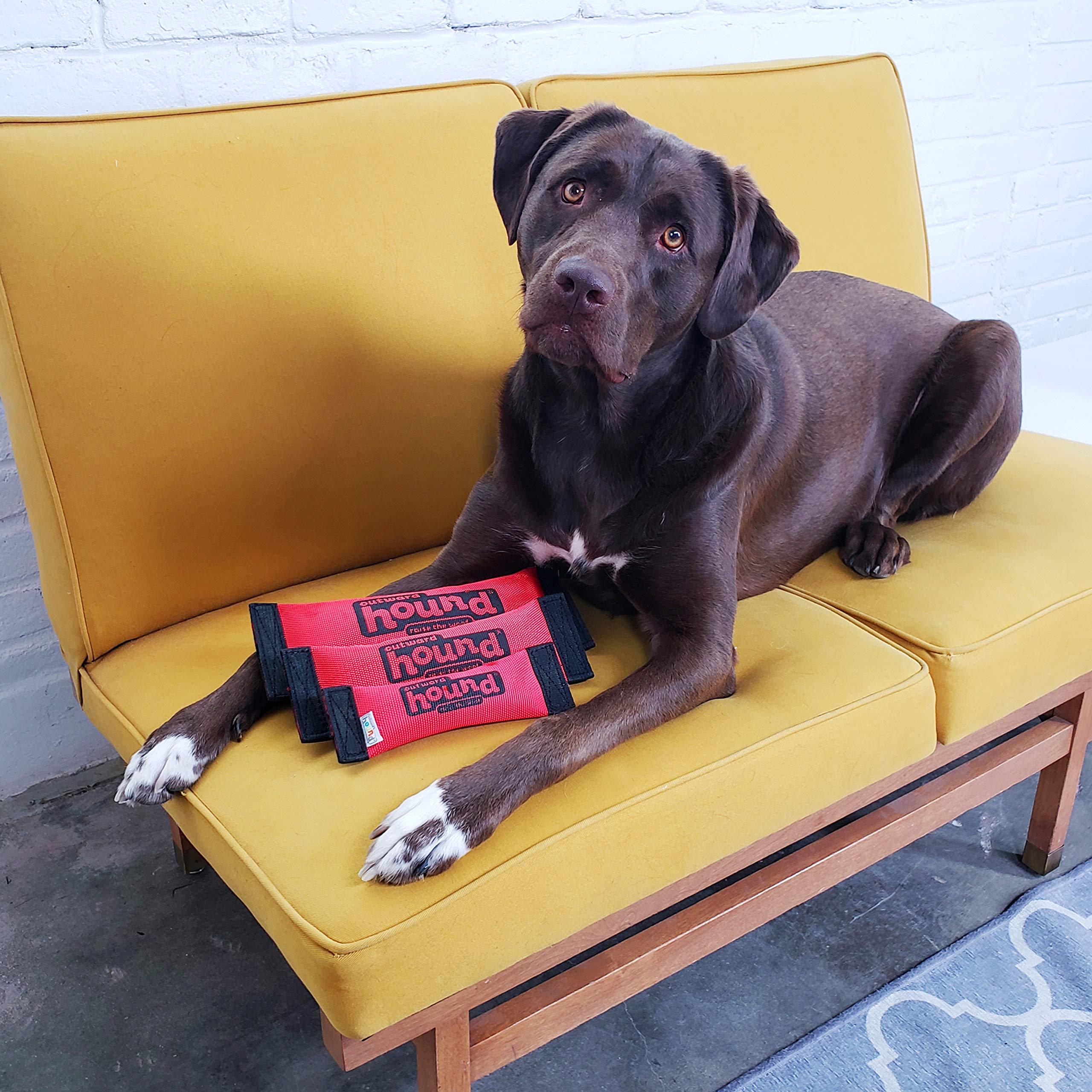 Outward Hound Firehose Fetch Dog Toy, Medium