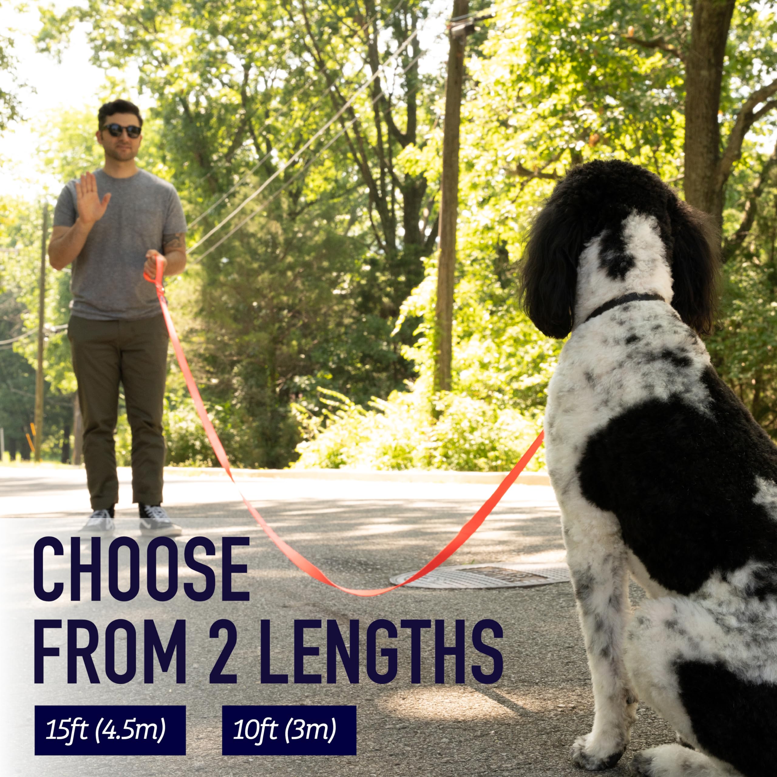 Leash Boss 10 Foot Dog Leash With Padded Handle - Long Leash For Hiking, Camping, Exploring, Or Walking (10 Feet, Orange)