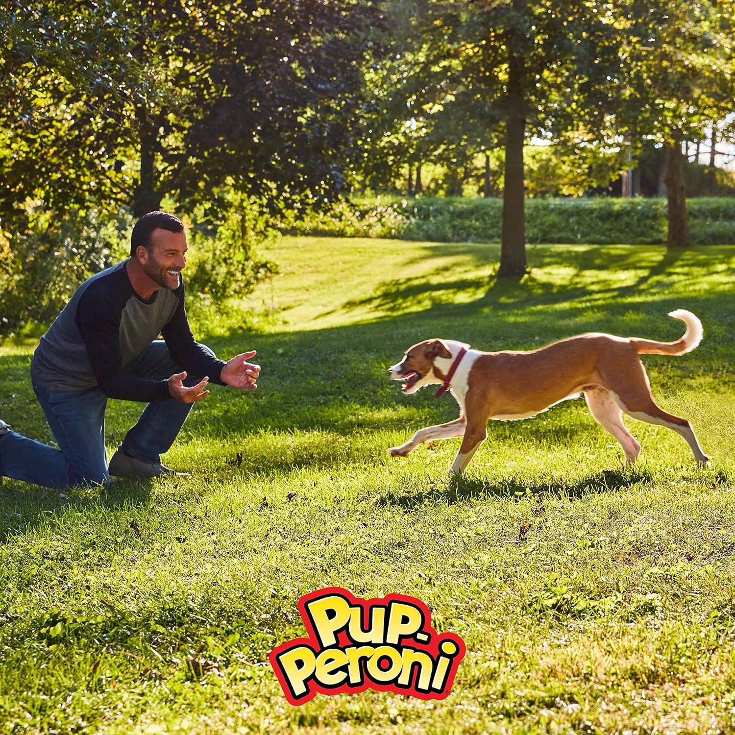 Pup-Peroni Prime Rib Flavor Dog Treats, Made with Real Steak, 22.5 Ounce Bag