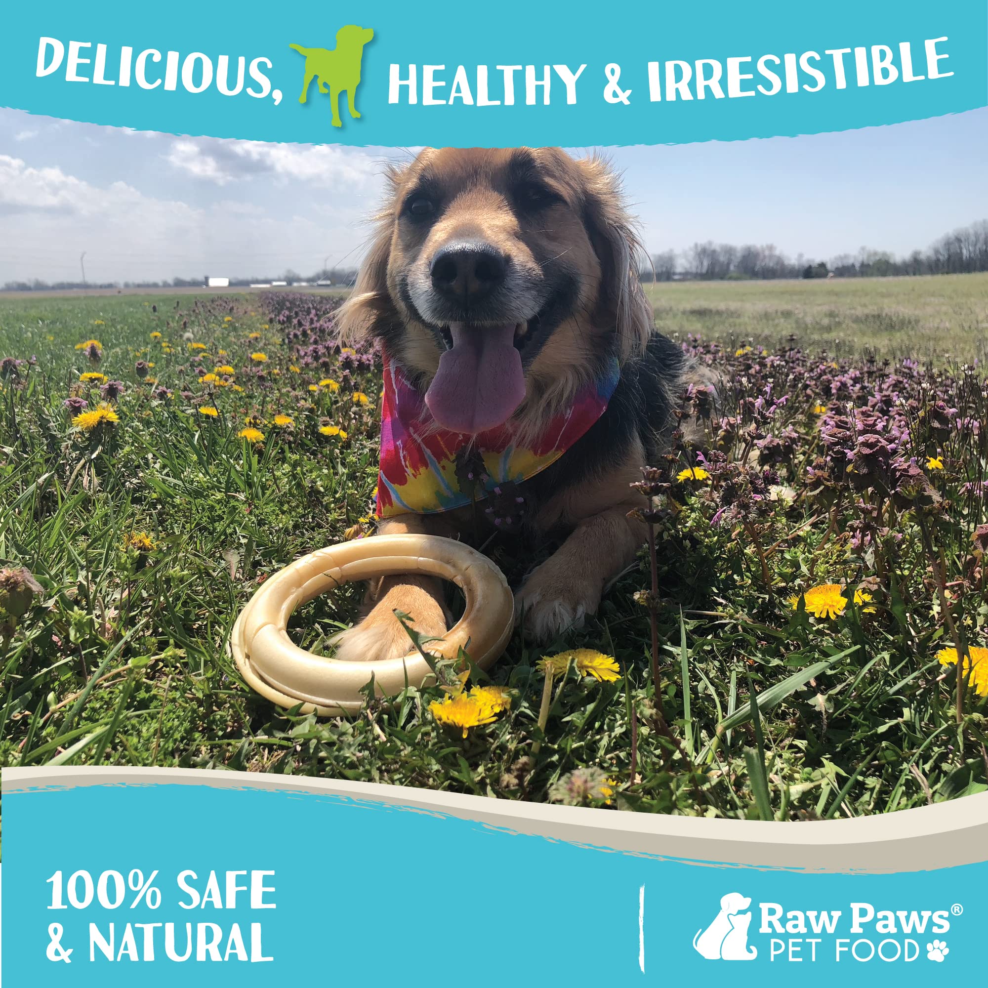 Raw Paws Compressed Rawhide Rings for Dogs, 6-inch, 5-Count - Packed in The USA - Rawhide Ring for Dogs - Digestible Rawhide Don