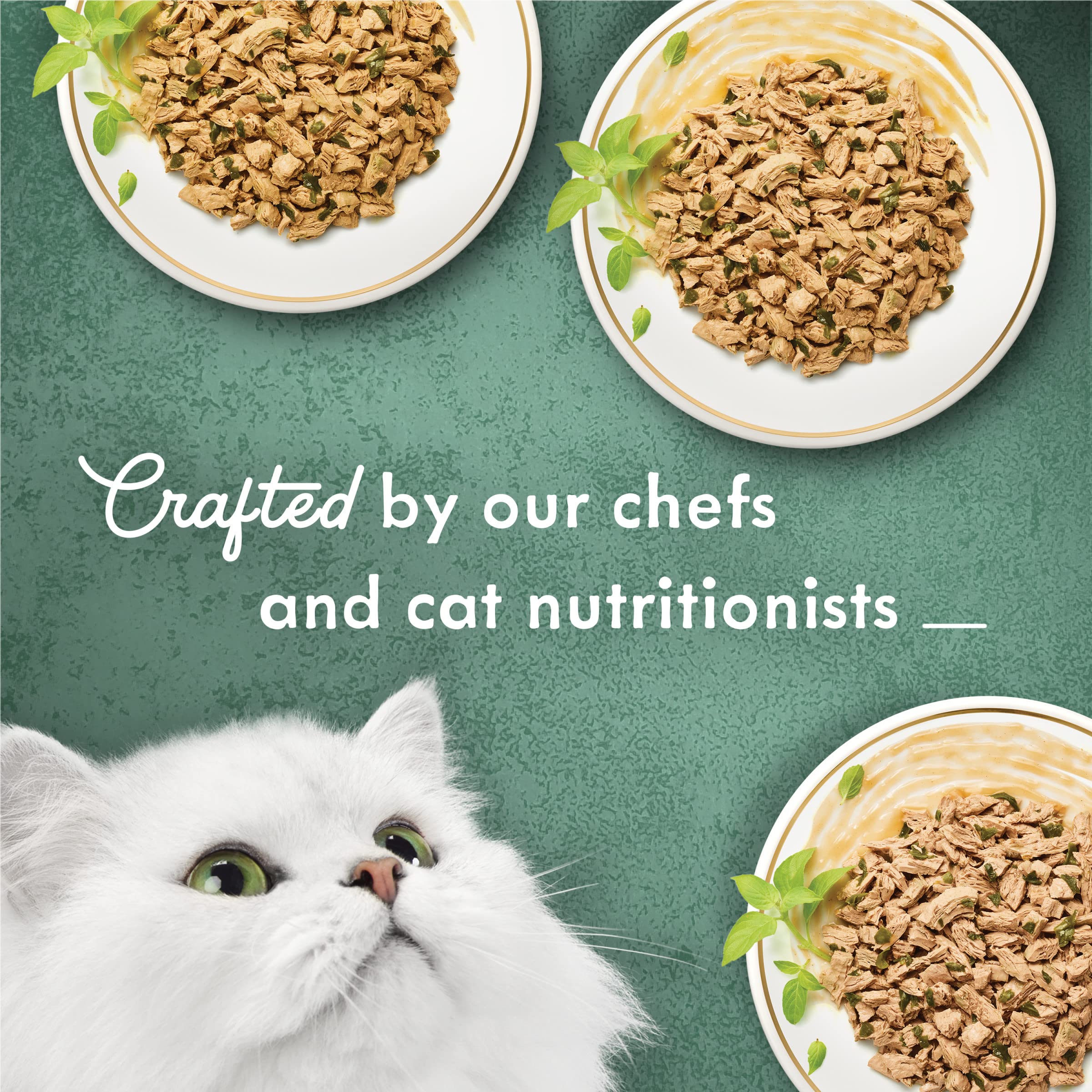 Purina Fancy Feast Wet Cat Food Variety Pack, Medleys Shredded Fare Collection - (2 Packs of 12) 3 oz. Cans