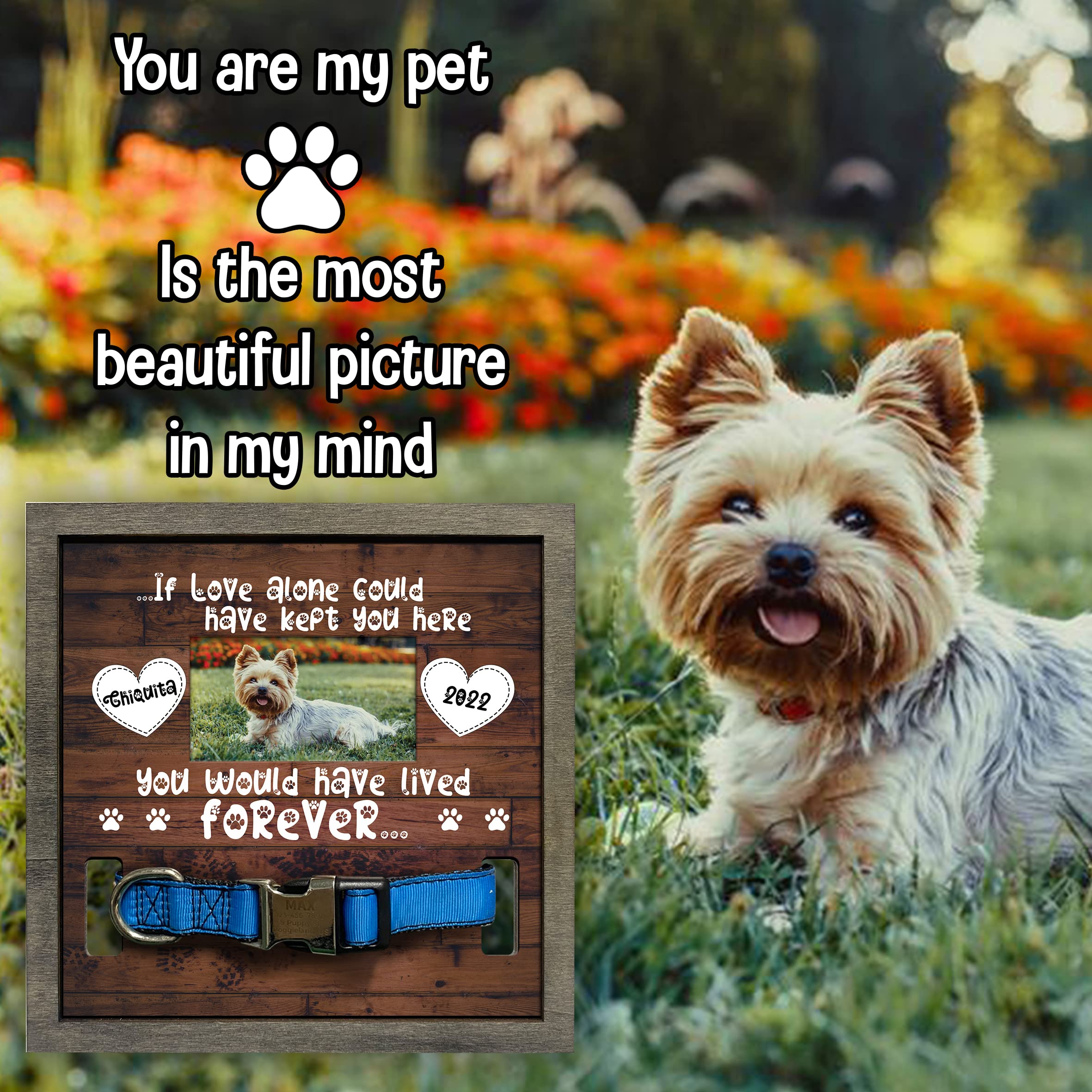 Bfigift Personalized Dog Memorial Picture Frame Collar Gifts Pawprints Pet Loss Remembrance Gifts For Loss Of Loved Ones Pet Loss Plaque In Loving Memory Of Dog Cat Plaque For Your Loss Sympathy Decor