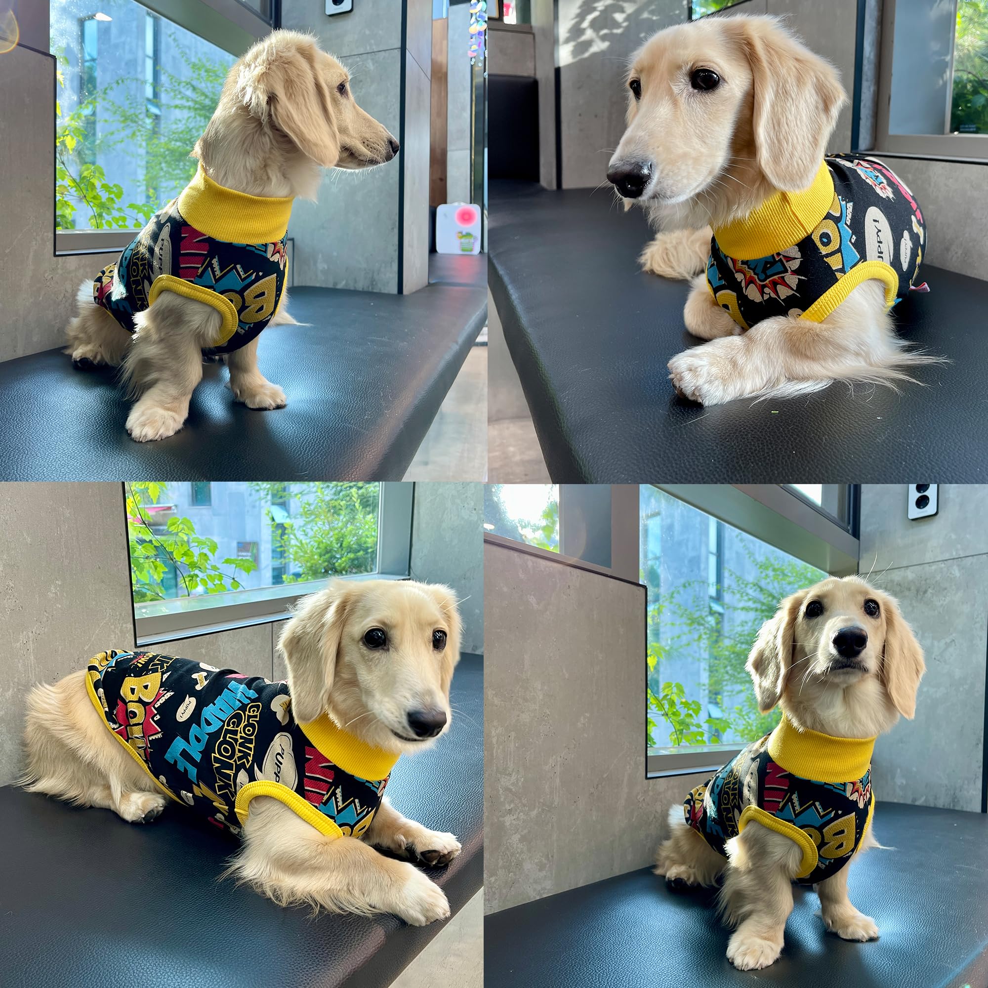 D Doggy Star Dachshund Clothes For Dogs Mini And Adults T Shirts (L,Comic Black)