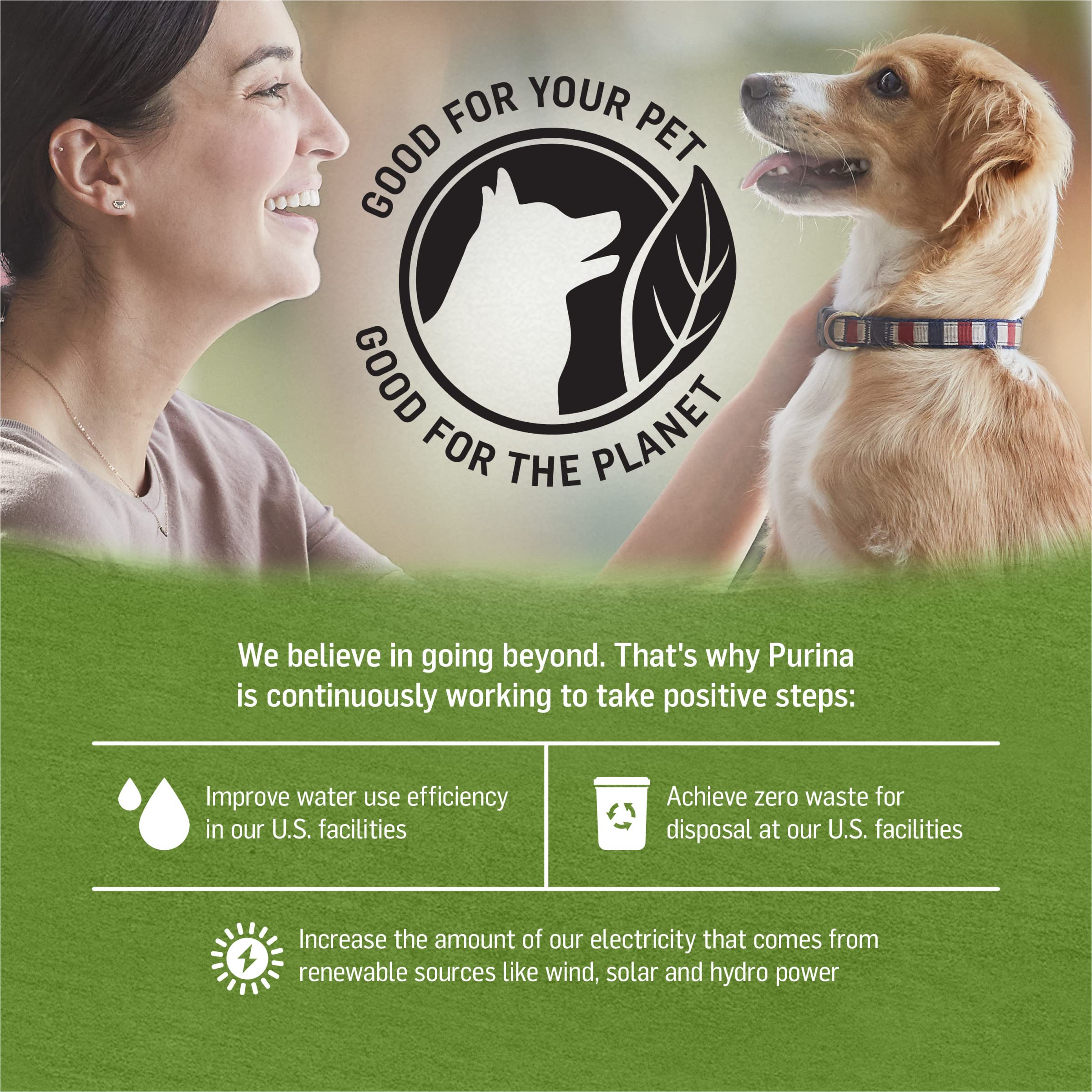 Purina Beyond Grain Free, Natural Pate Wet Dog Food, Grain Free Chicken, Lamb &amp; Spinach Recipe - (12) 13 oz. Cans