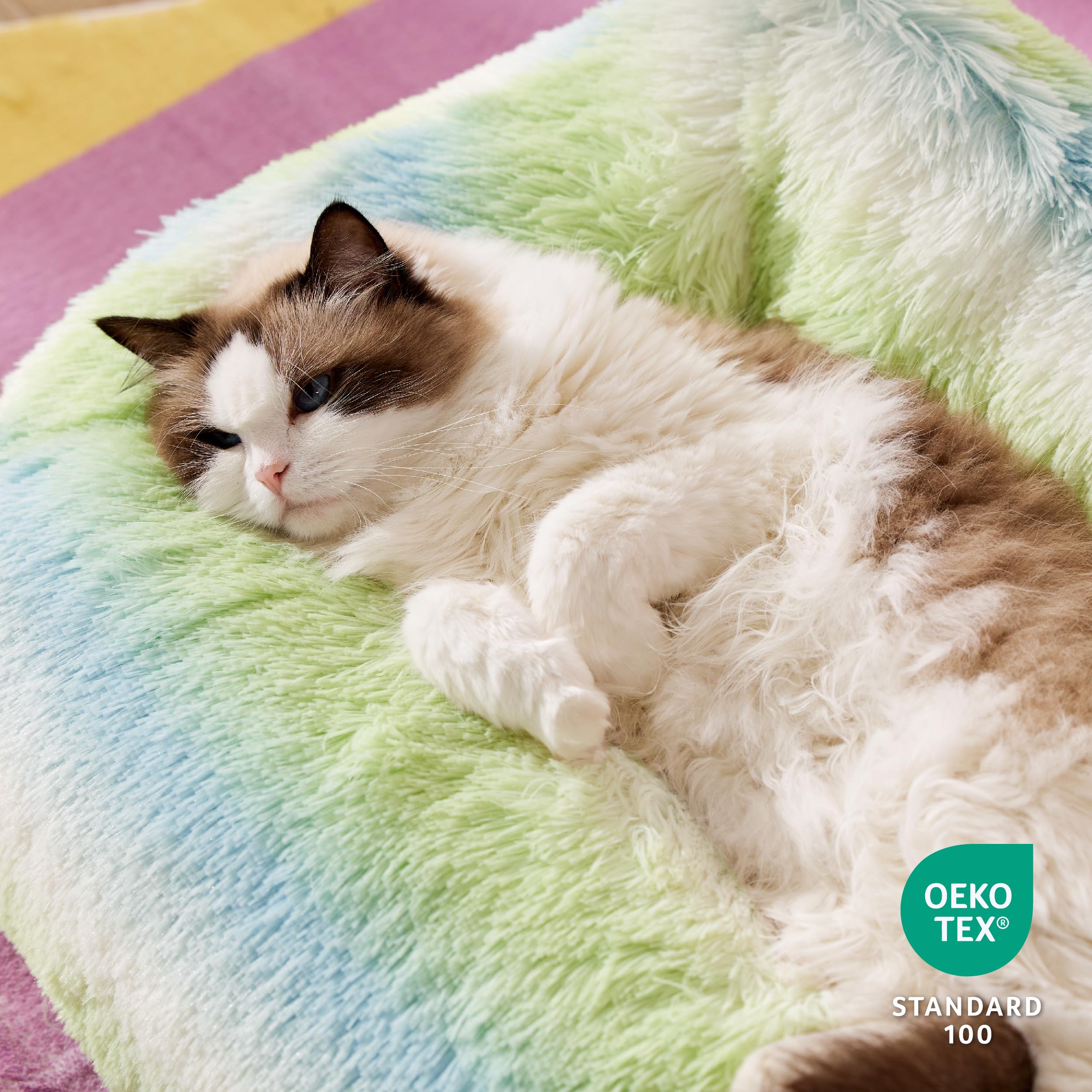 Lesure Cute Cat Bed Indoor - Furry Cat Bed Large, Washable Calming Small Dog Beds For Puppy With Fashion Design, 26X21X9Inches,