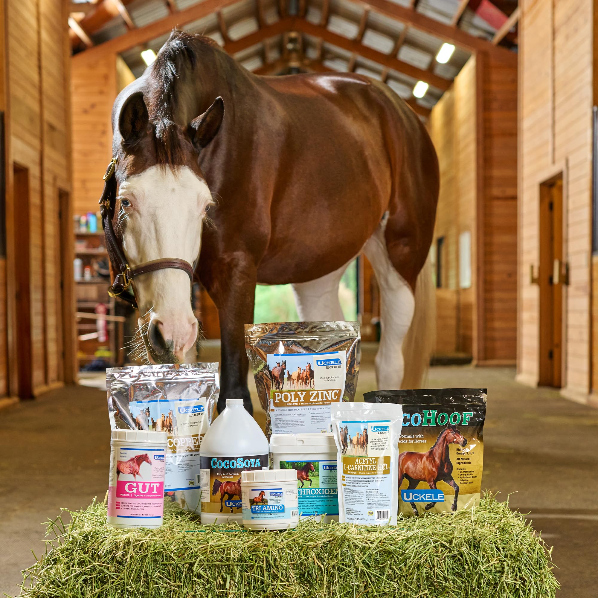 Uckele by SmartEquine Poly Copper | Equine Horse Coat Supplements for Skin | Vitamins & Minerals Supplements for Horses Bones an