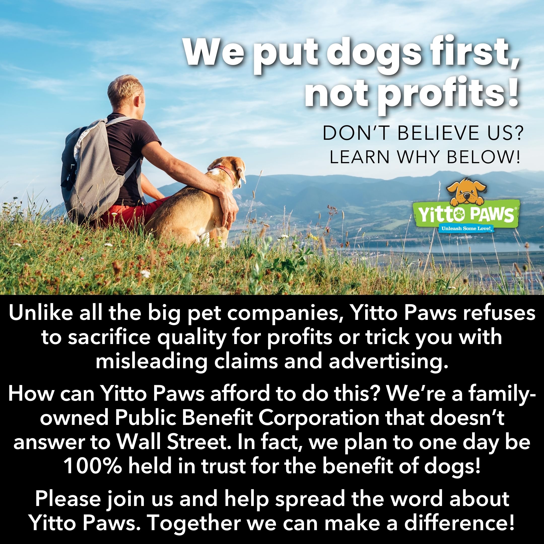 Crunchy Organic Peanut Butter Dog Treats - Fruit & Oats Healthy Dog Biscuits, Vegan All Natural Training Treats Made in USA - Lo