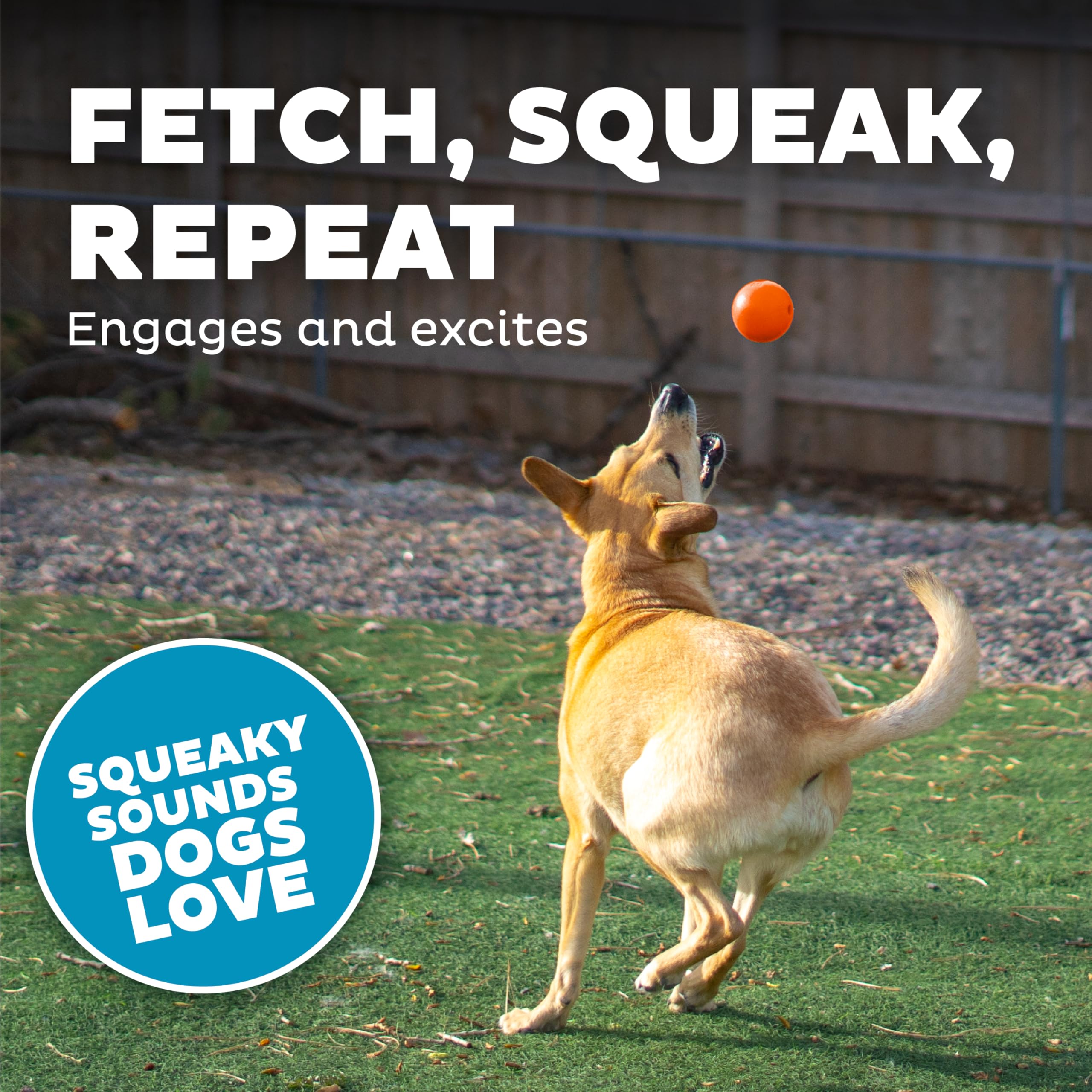 Outward Hound By Planet Dog Squeak Ball Bouncy Fetch Dog Toy, Orange