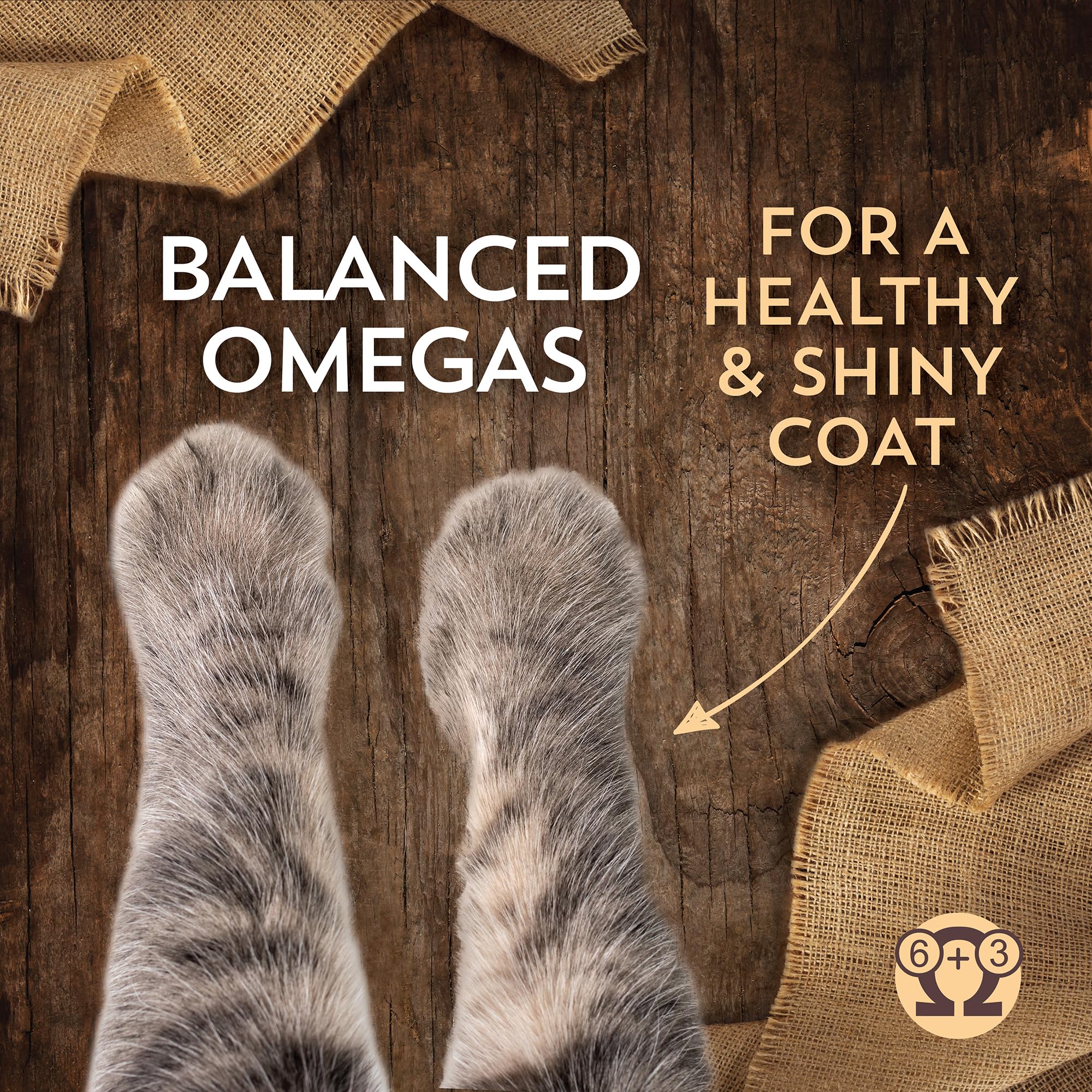 Wholesomes Sensitive Skin & Stomach with Salmon Protein & Ancient Grains Dry Food for Cats & Kittens (10 lb. Bag)