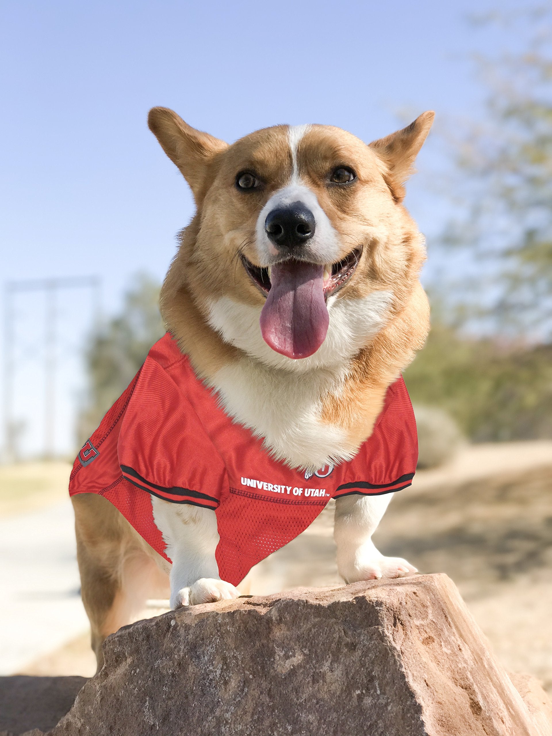 Pets First NCAA College Utah Utes Mesh Jersey for DOGS & CATS, Small.Licensed Dog Jersey with your Favorite Football/Basketball