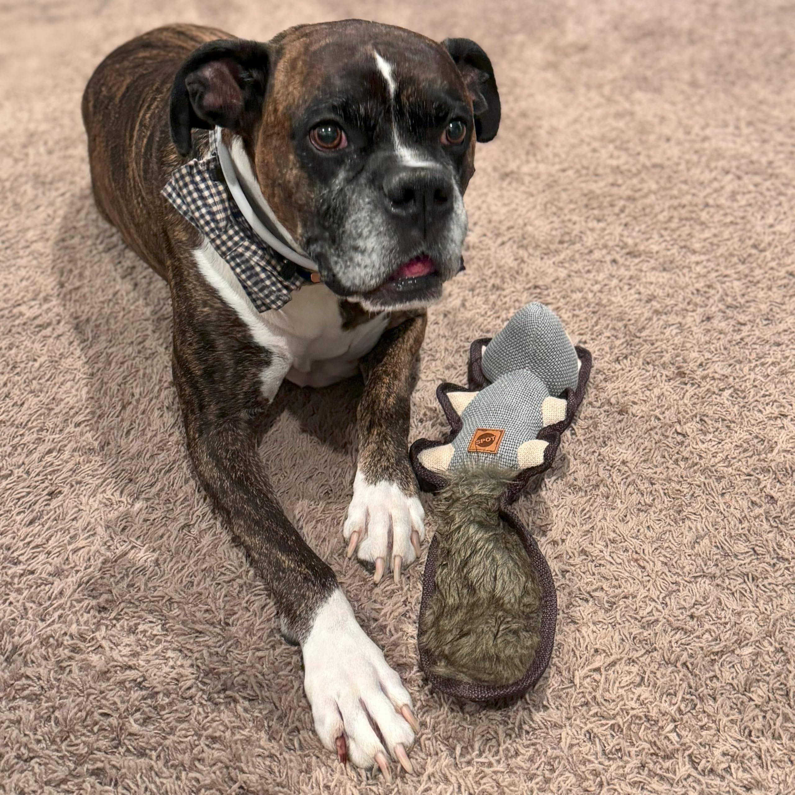 Spot Dura-Fused Hemp Friends - Dog Toy Made With Hemp Material, Fused With Tricot For Durablity, With Furry Plush Tail And Squeaker, Great For Light To Moderate Chewers - 18' Assorted Styles, 1 Piece