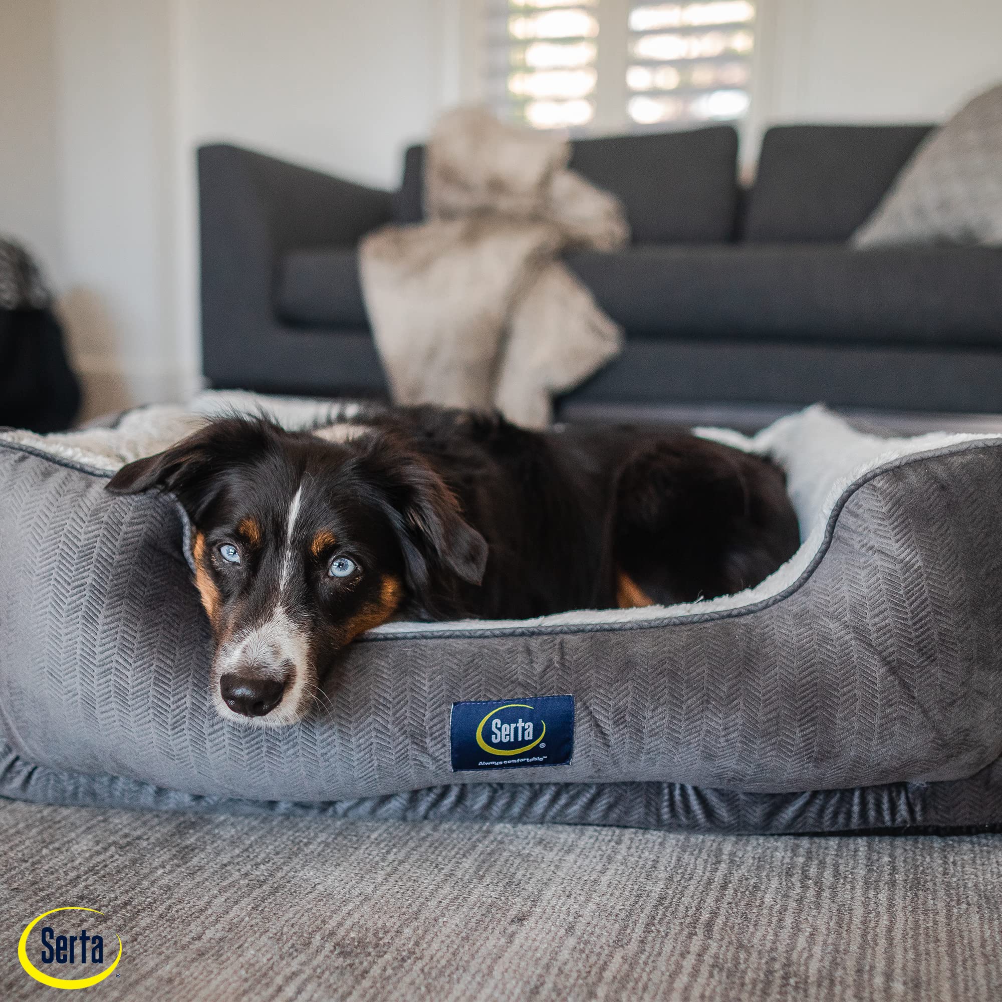 Serta Orthopedic Dog Bed - X-Large, Slate Gray, 44"L x 30"W x 10"Th, Durable Polyester