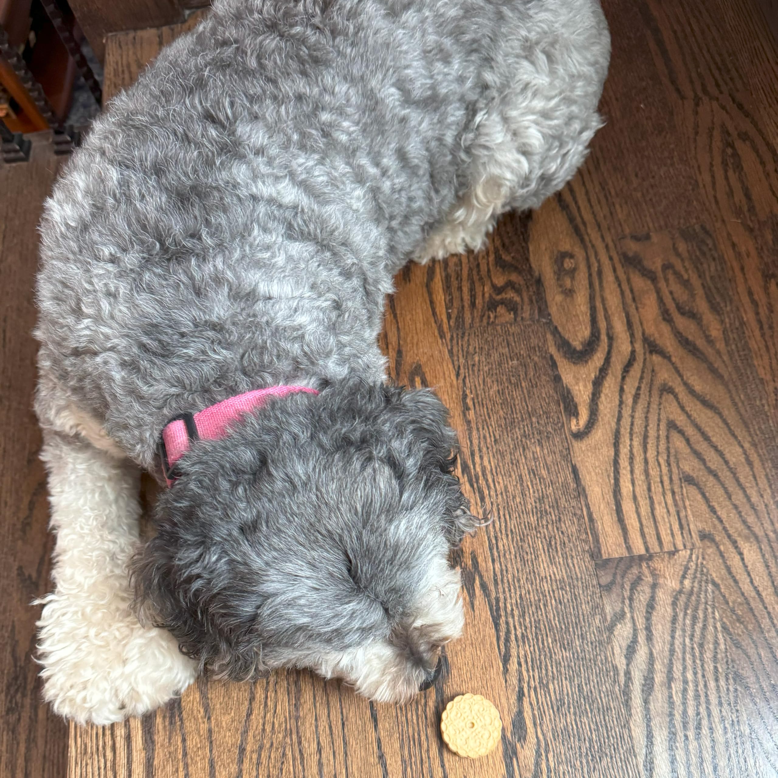 Exclusively Dog Cookies Sandwich Cremes Peanut Butter Flavor Dog Treats for Medium and Large Dogs, Natural and Made in The USA,