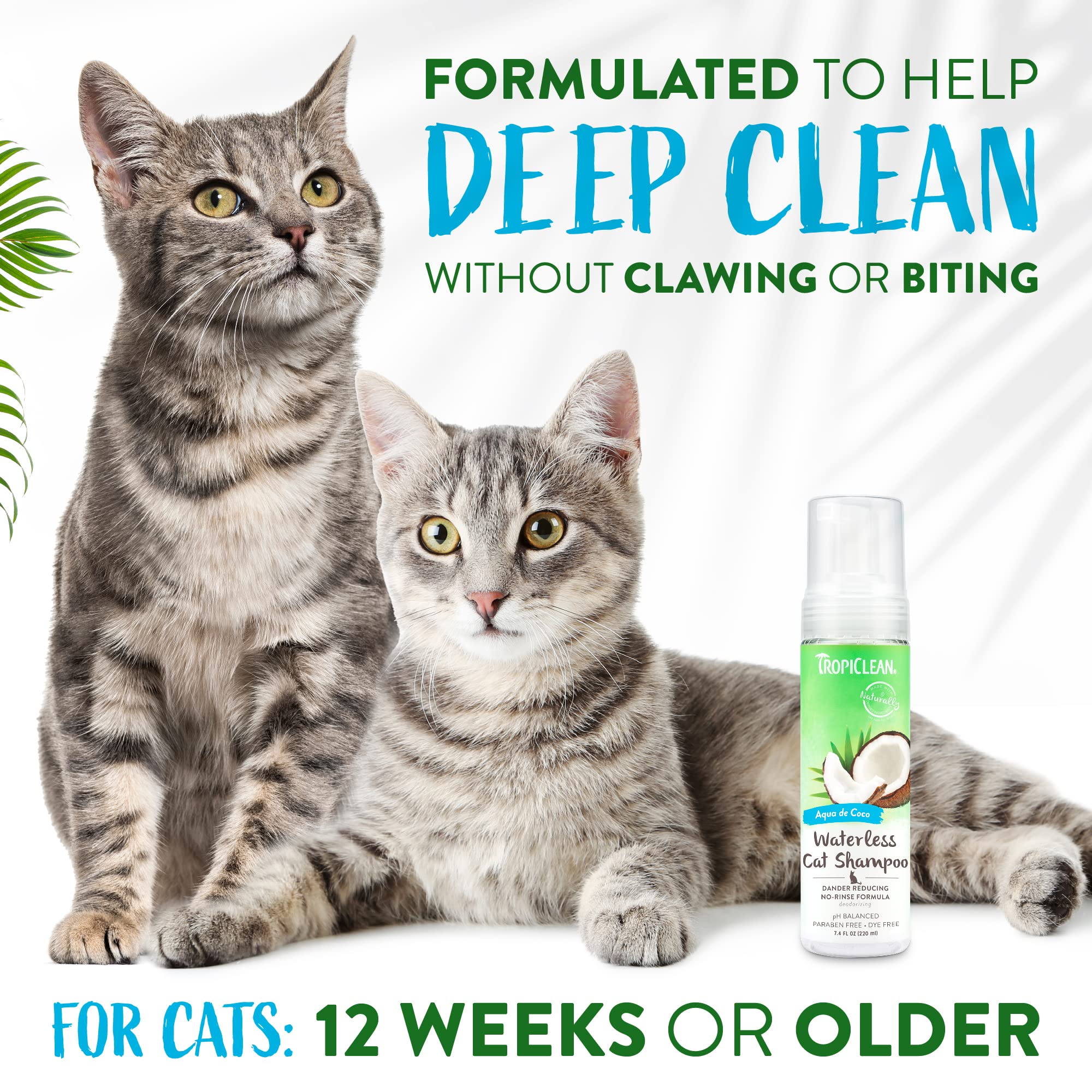 TropiClean No Rinse Waterless Cat Shampoo | Dandruff Treatment | Moisturizing Dry Shampoo for Dry Skin | USA Made | Aqua de Coco
