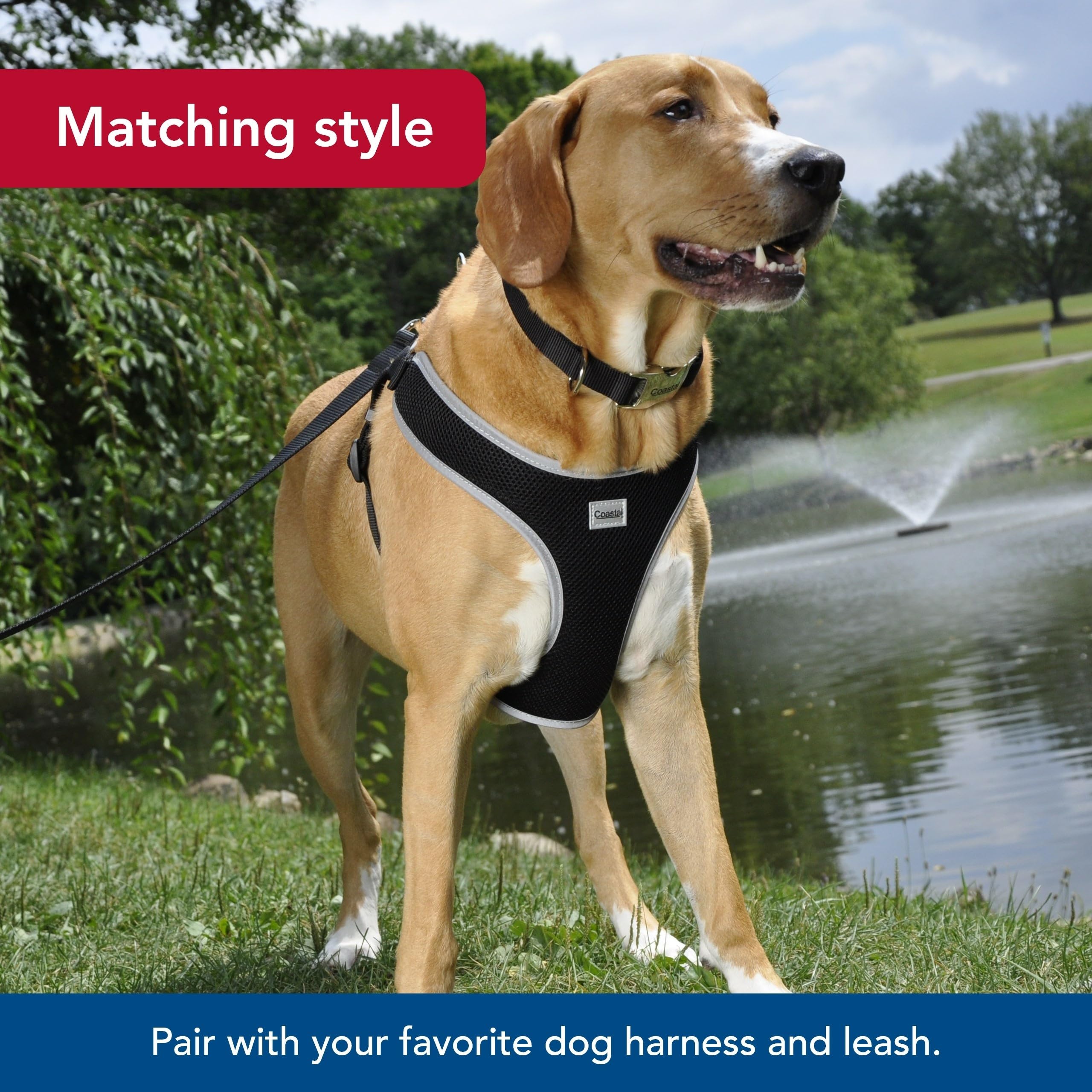 Coastal Pet Adjustable Dog Collar With Metal Buckle - Comfortable Fade-Resistant Dog Collar With Snap Lock - Perfect For Walking & Tie Outs - Black, 3/4' X 14' X 20'