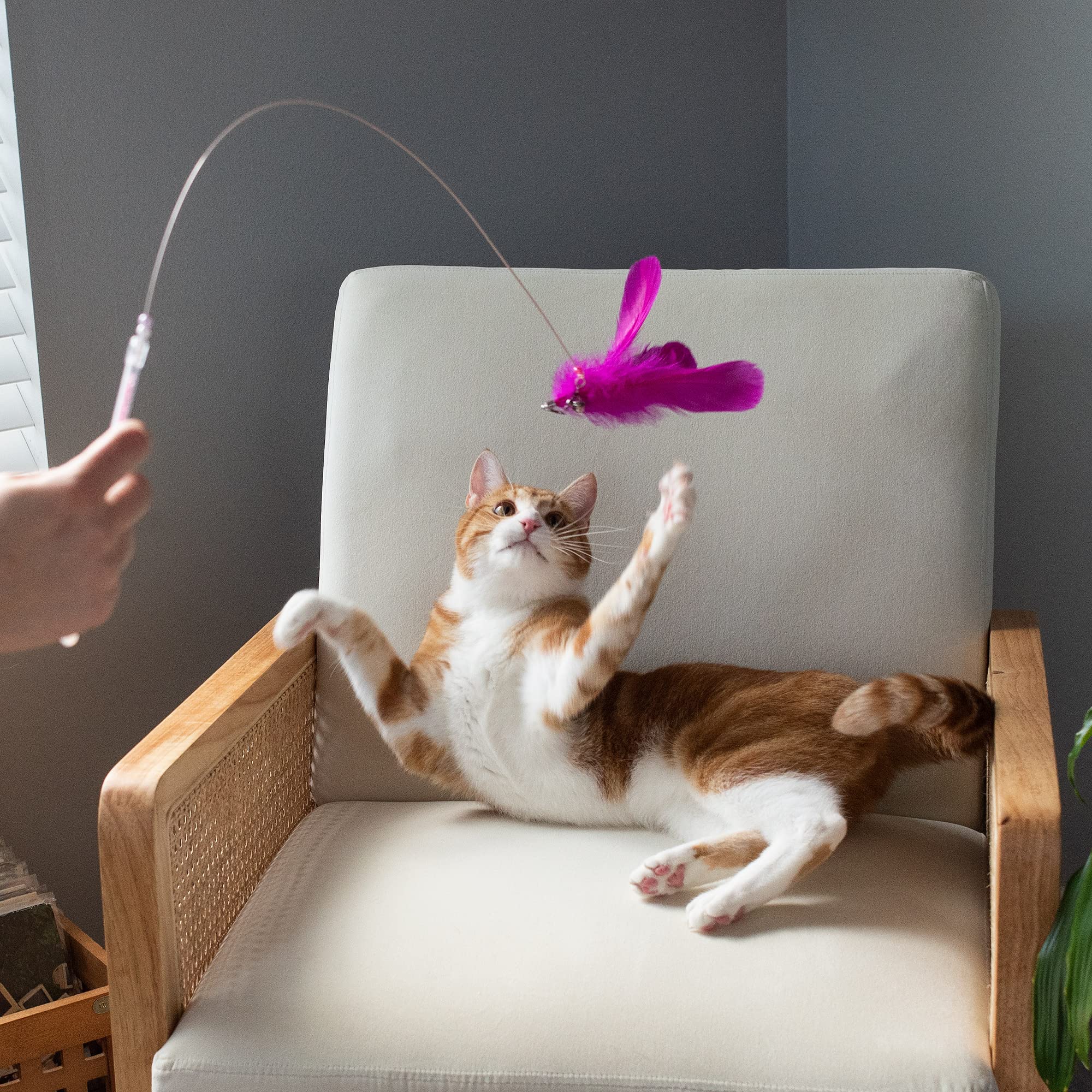 Furhaven 2-Pack Teaser Cat Wand Toy Set For Indoor Cats, Interactive Play & Exercise - Dizzy Kitty Feather Wand - Pink (Hot Pink/Light Pink), Set Of 2