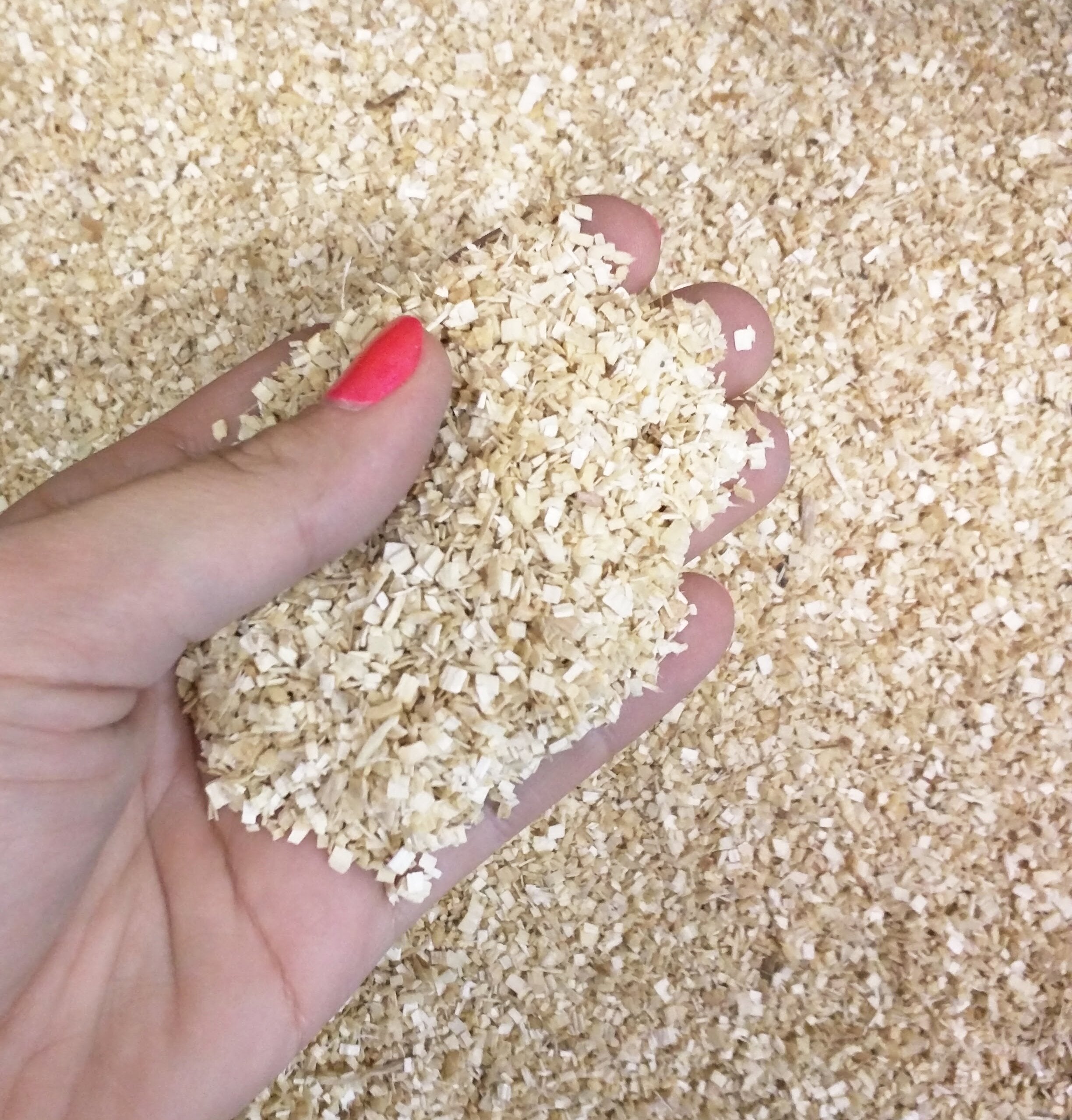 P.J. Murphy Sani-Chips, Snake Bedding, Reptile Bedding, Forest Floor Substrate, Aspen Mulch, 22.9 Lbs