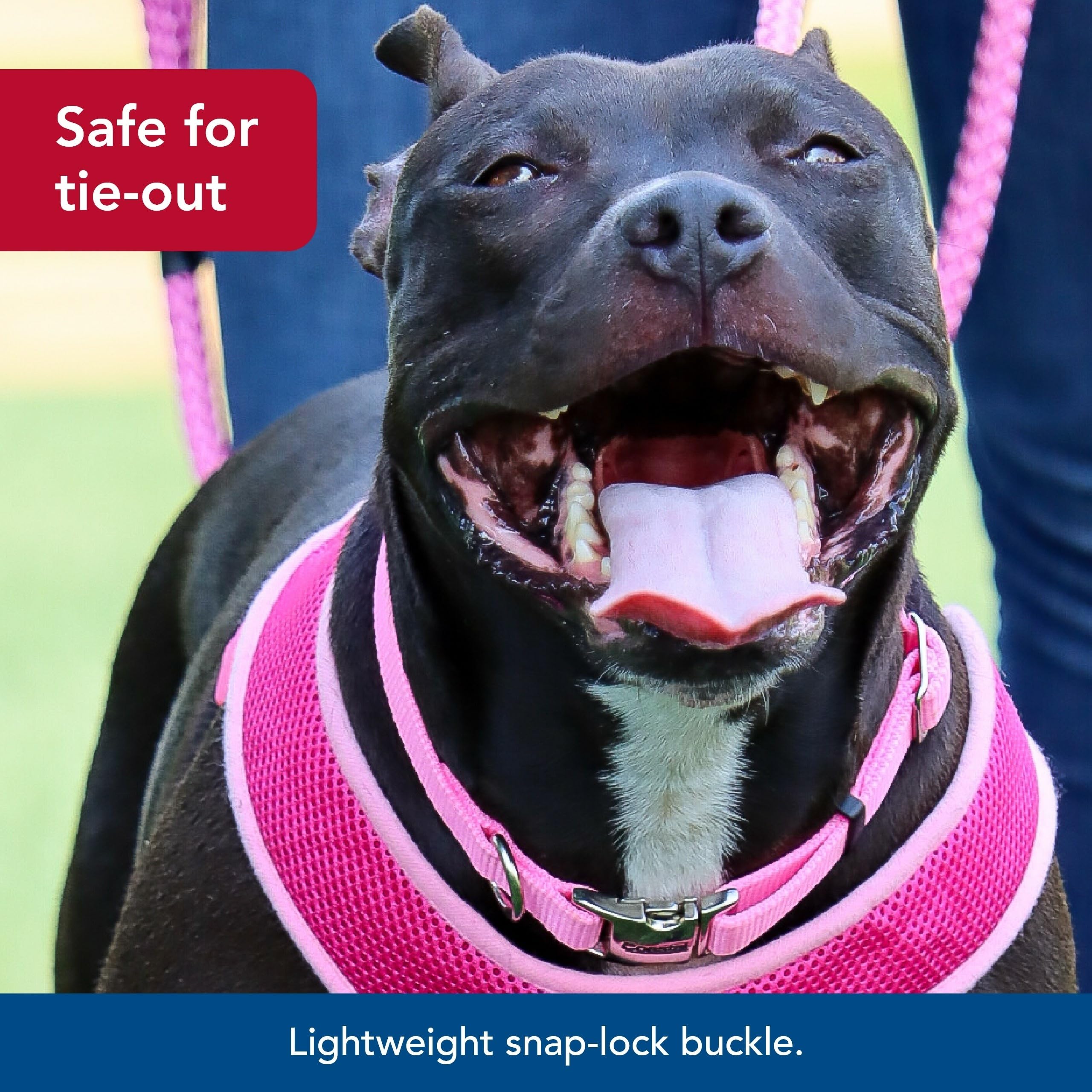 Coastal Pet Adjustable Dog Collar with Metal Buckle - Comfortable Fade-Resistant Dog Collar with Snap Lock - Perfect for Walking