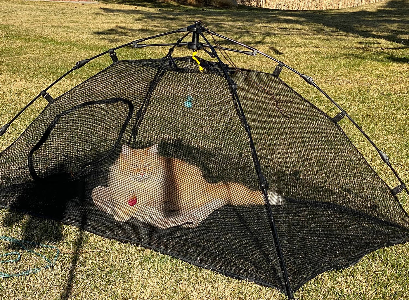 pop up outdoor cat tent Betyman Outdoor Cat Tent For Outside Cat Enclosures Outdoor Pop Up Pet – Petocart