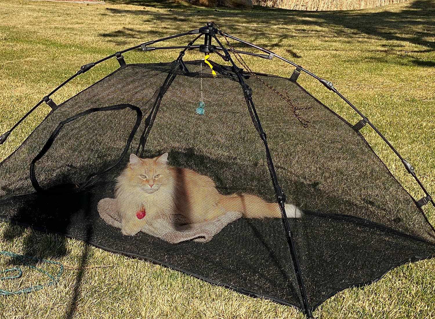 Betyman Outdoor Cat Tent For Outside Cat Enclosures Outdoor Pop Up Pet Playpen Playhouse (Play Tents For Small Animals) - Outsid