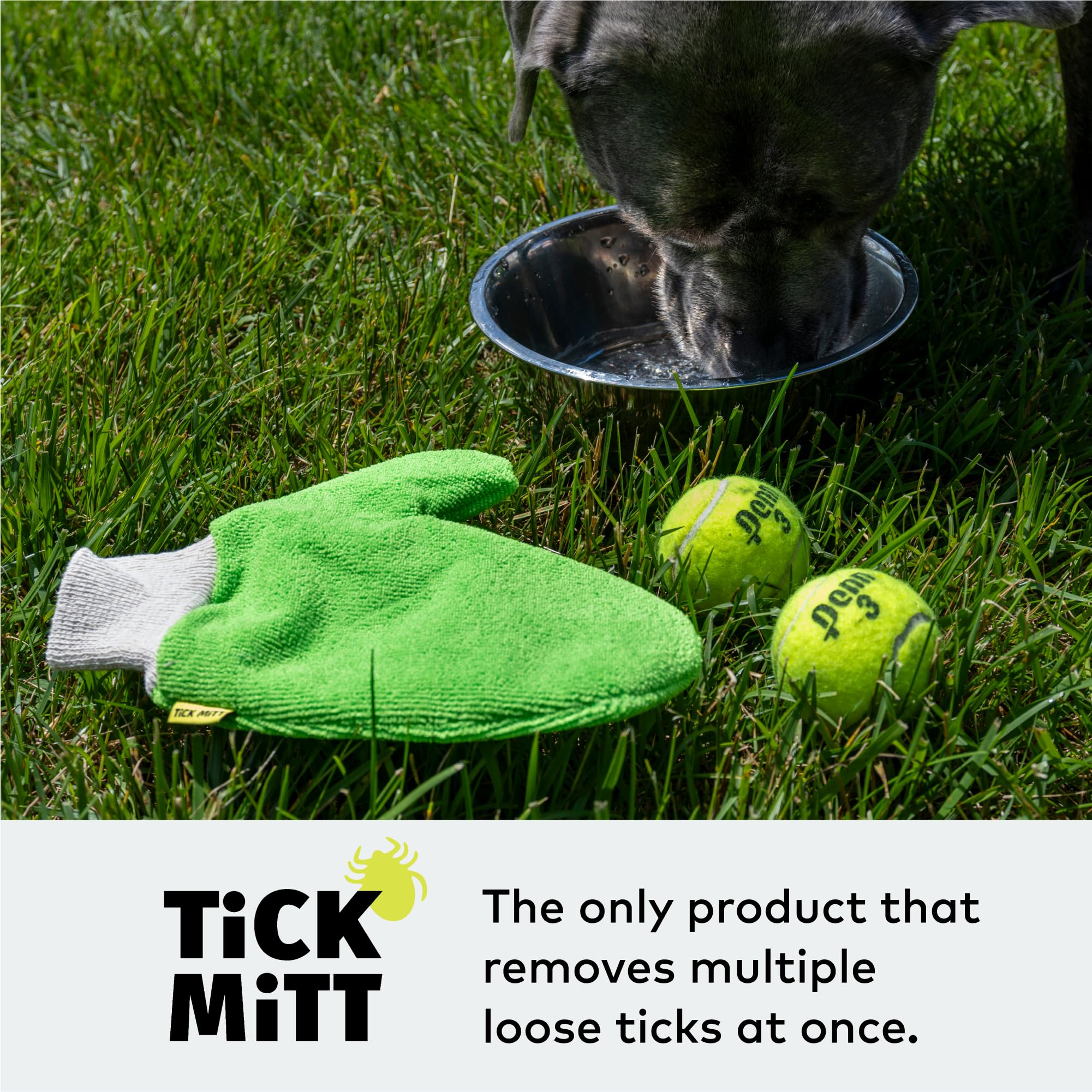 TiCK MiTT Green Tick Removal Glove: Gently Remove Ticks from Humans & Pets - Chemical-Free, Durable, Portable, Easy to Use Tick