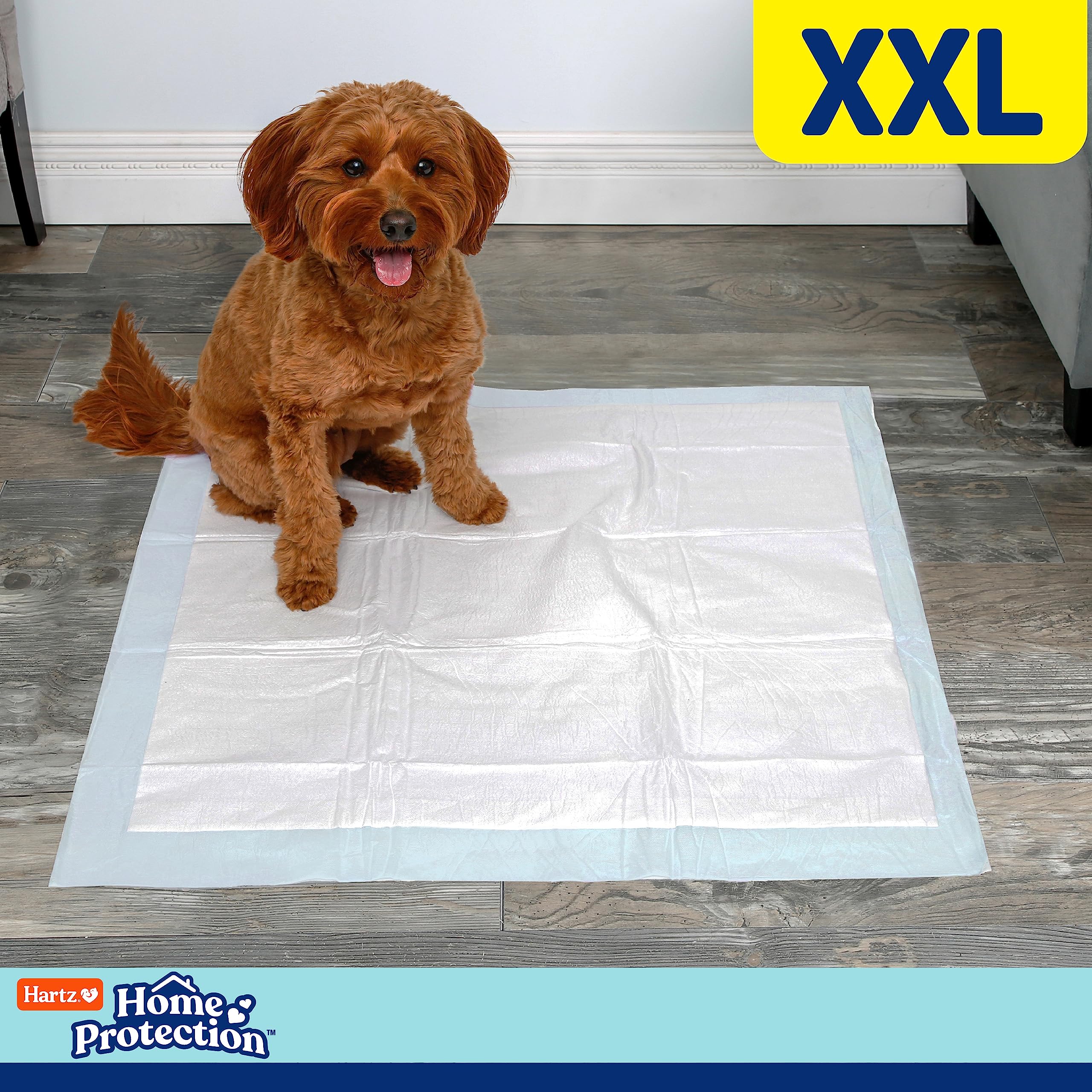 Hartz Home Protection Mountain Fresh Scented Dog Pads, Xxl 20 Count, Super Absorbent & Won'T Leak, Odor Eliminating