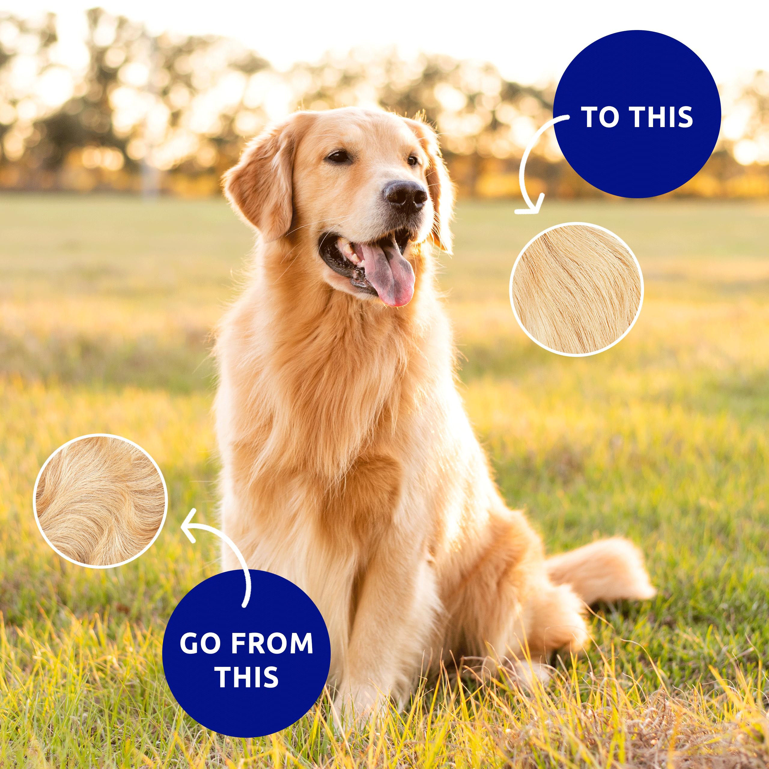 Pat Your Pet Deshedding Dog Brush For Shedding - Cat Brushes For Indoor Cats, Double-Sided Cat Brush Deshedding & Grooming Tool