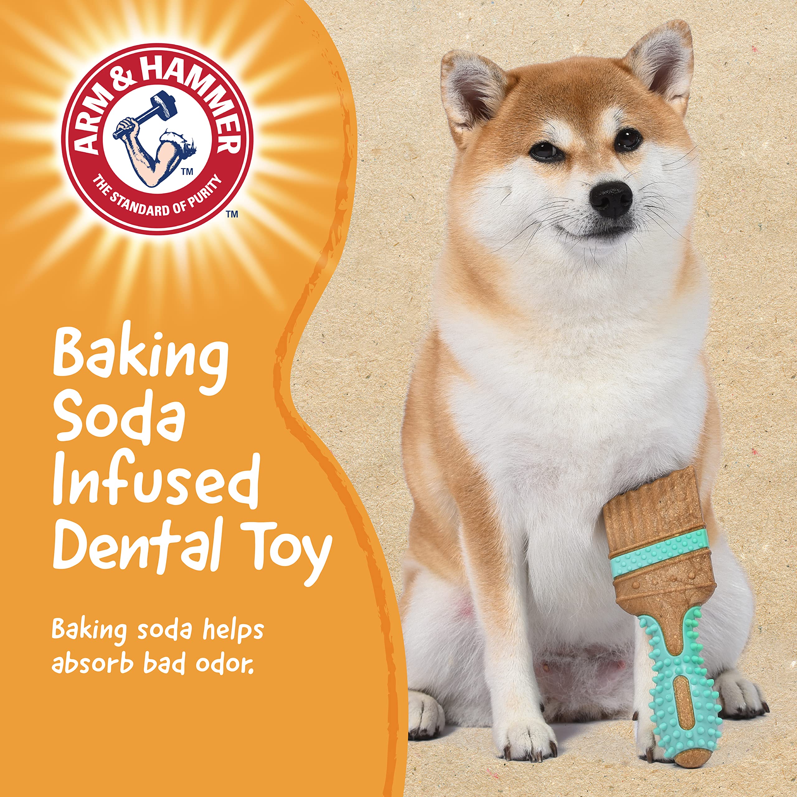Arm & Hammer Chew Tools Collection Dog Toy - 7.5 Inch Compressed Wood Paintbrush Chew Toy, Durable & Safe Alternative to Chewing Sticks