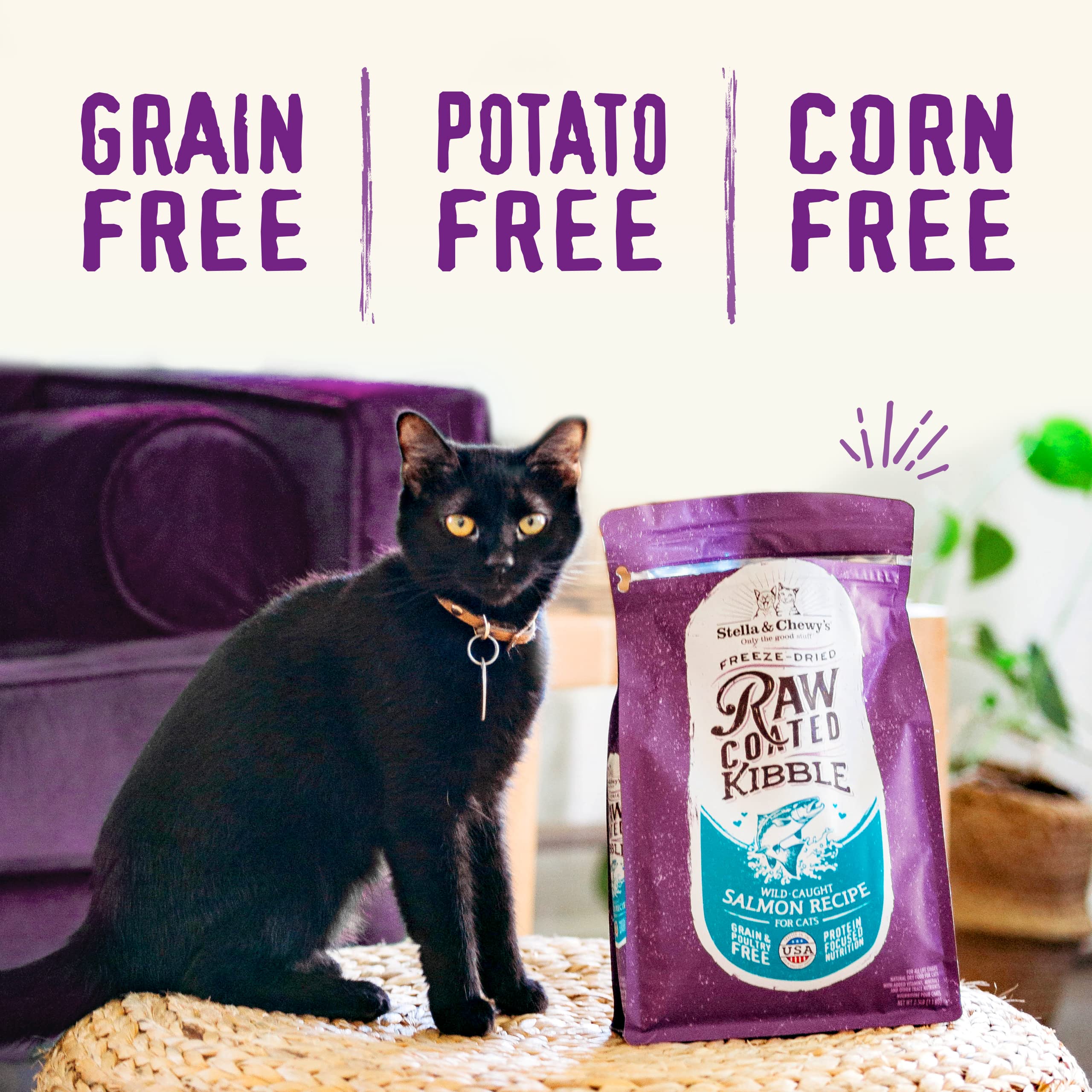 Stella & Chewys Raw Coated Cat Food - High Protein, Grain-Free Kibble with Wild-Caught Salmon - Premium Digestive Support with